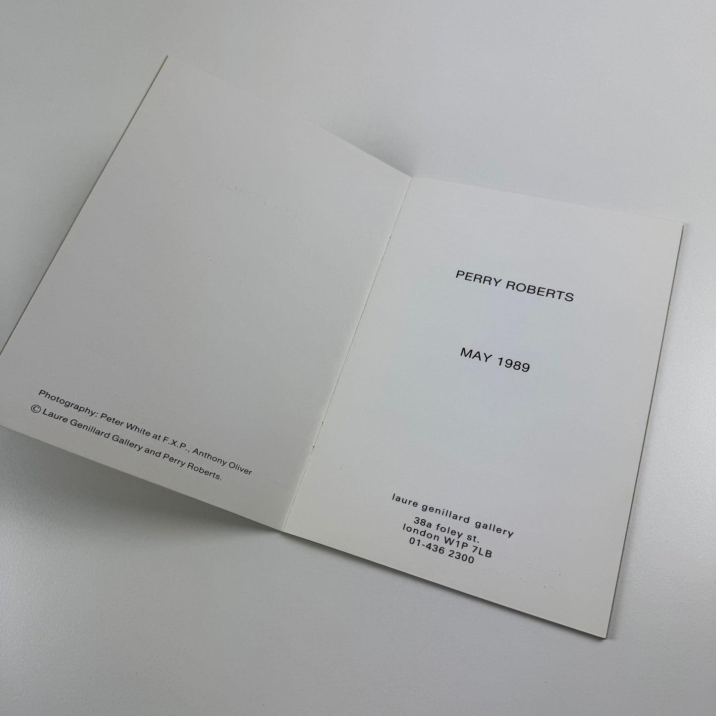 Perry Roberts | Laure Genillard Gallery, London | 1989