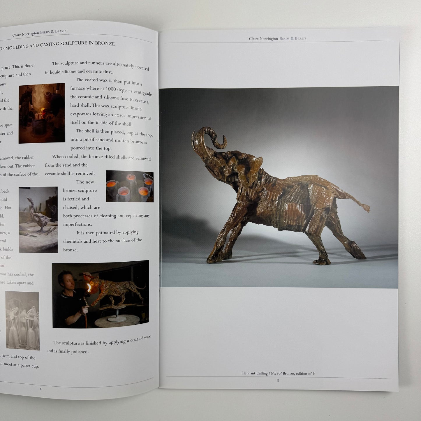Claire Norrington. Birds & Beasts. New sculpture & drawings | Courcoux & Courcoux | includes price list and private view invite