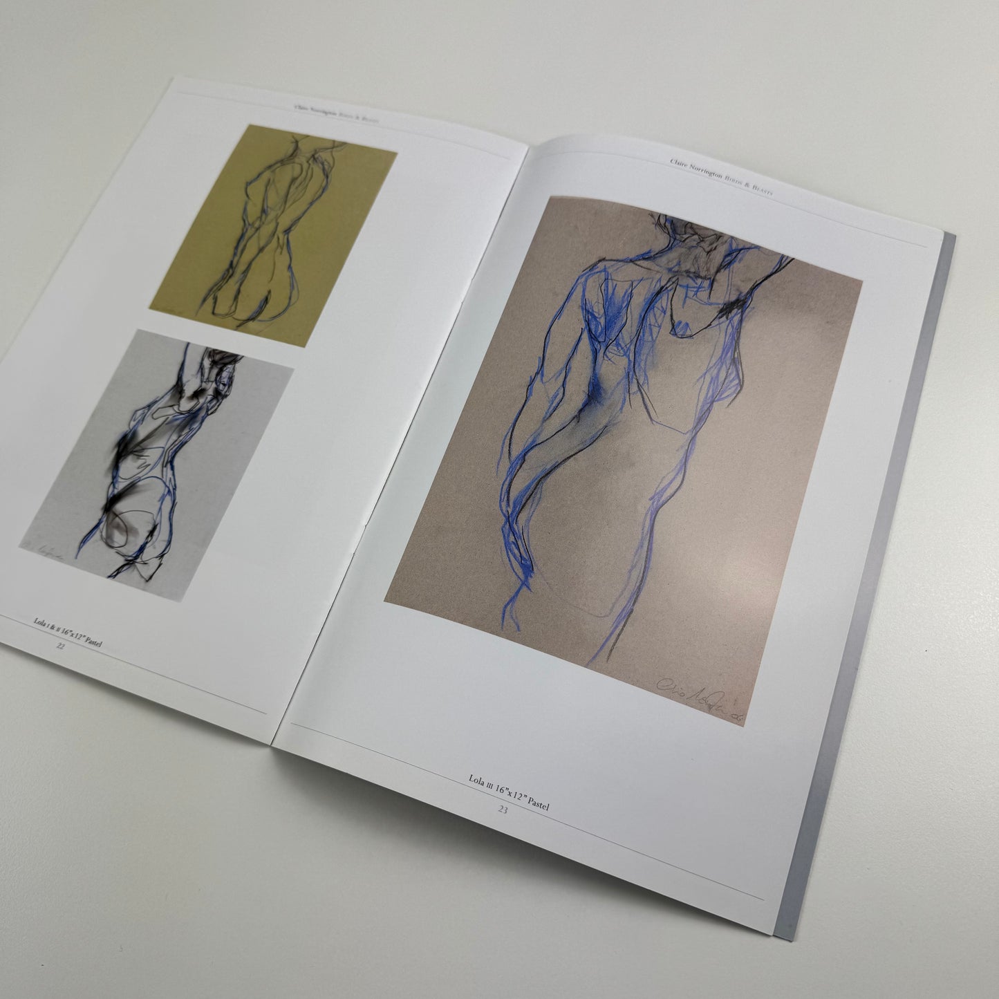 Claire Norrington. Birds & Beasts. New sculpture & drawings | Courcoux & Courcoux | includes price list and private view invite