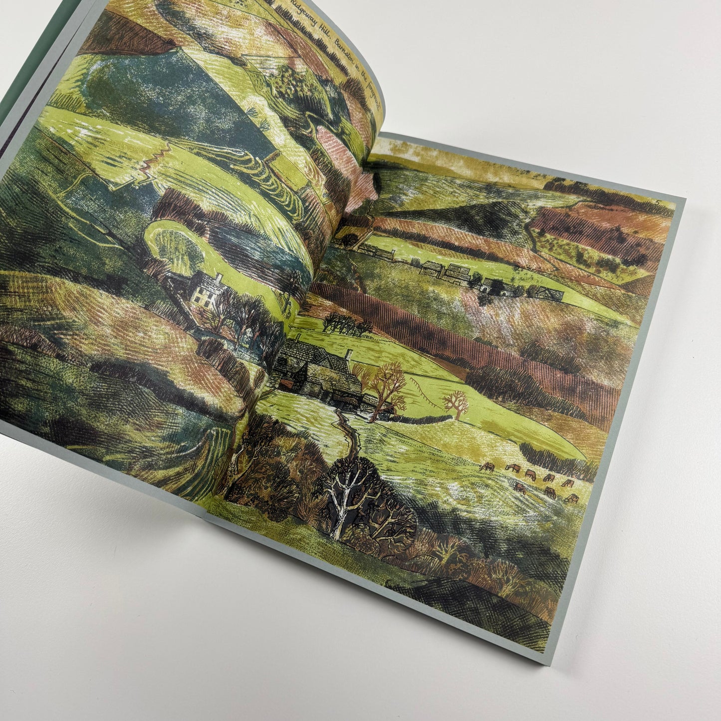 Dorset. The Isle of Purbeck by Rena Gardiner |The Dovecote Press & Little Toller Books, 2016 | Reprint of original with introductory text by Martin Andrews