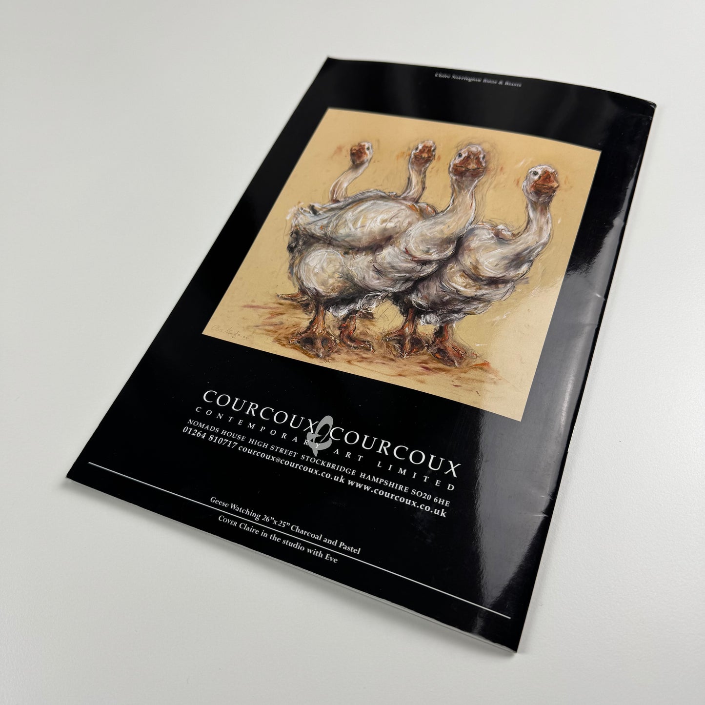 Claire Norrington. Birds & Beasts. New sculpture & drawings | Courcoux & Courcoux | includes price list and private view invite
