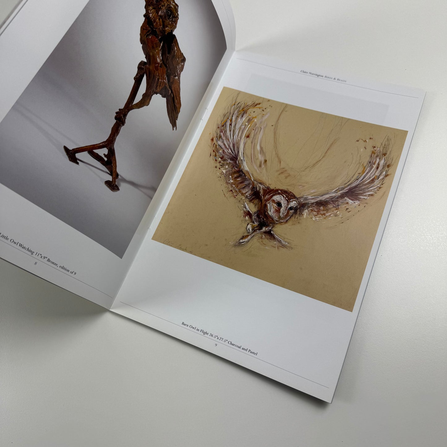 Claire Norrington. Birds & Beasts. New sculpture & drawings | Courcoux & Courcoux | includes price list and private view invite