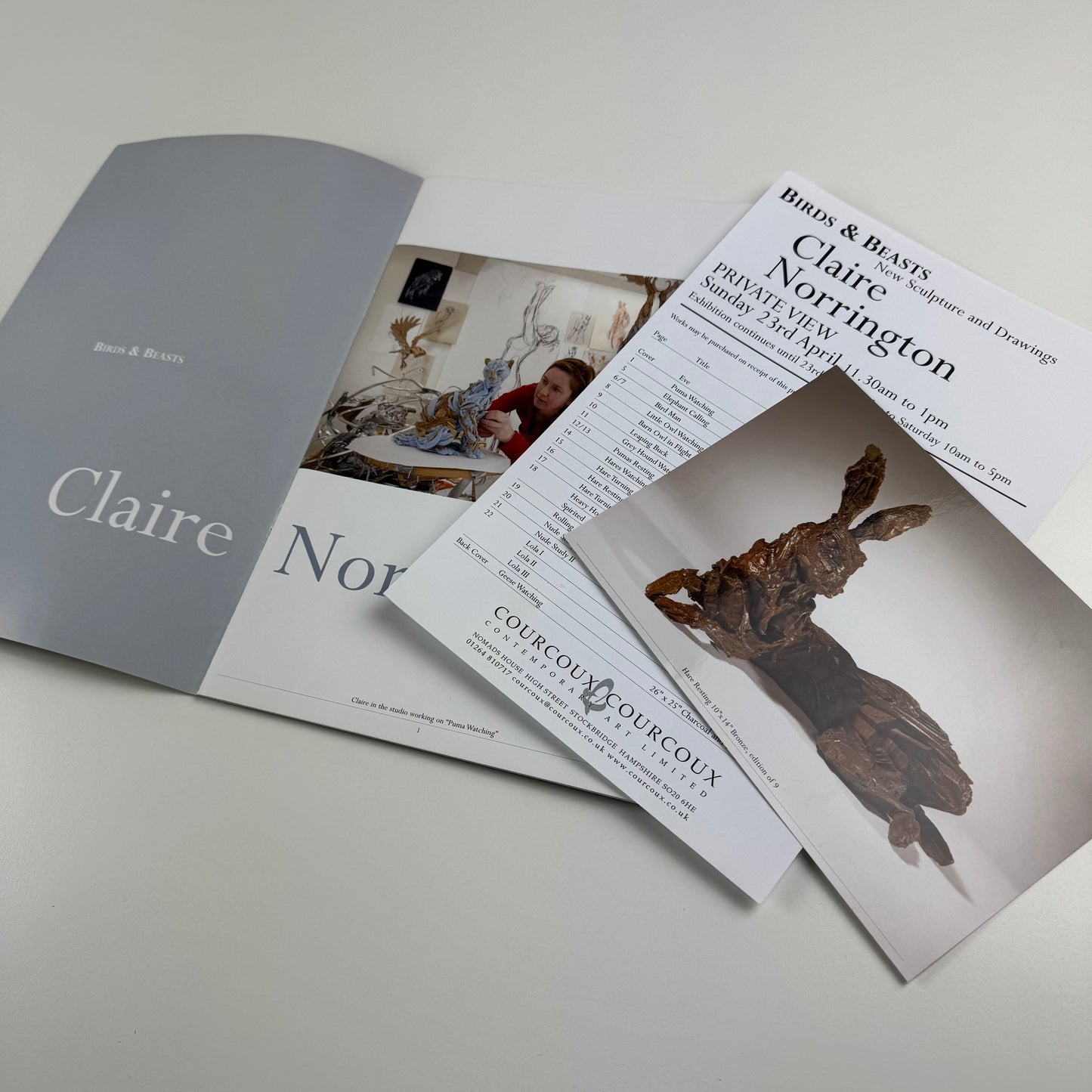 Claire Norrington. Birds & Beasts. New sculpture & drawings | Courcoux & Courcoux | includes price list and private view invite