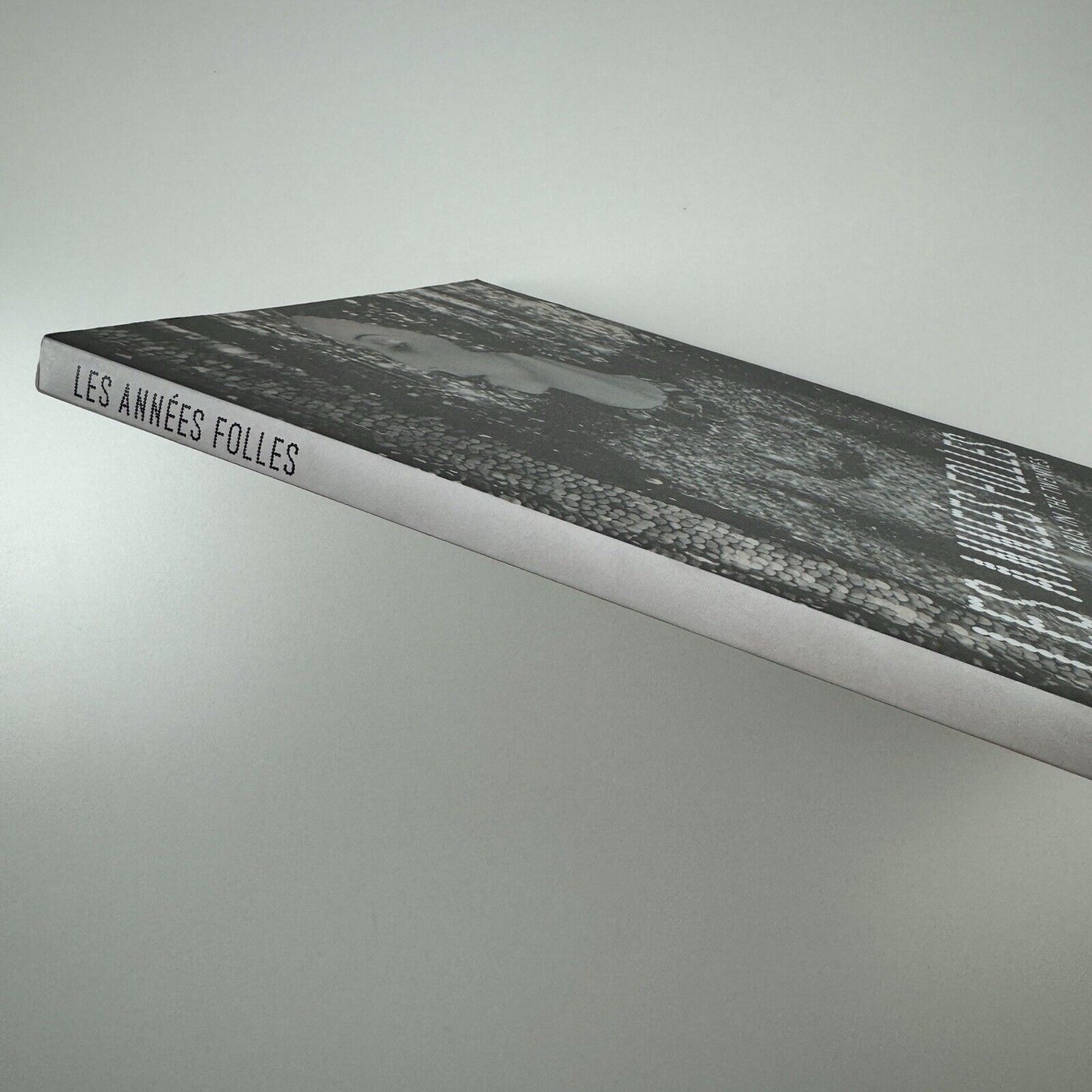 Les Années Folles. Paris in the Twenties | Helly Nahmad Gallery, London, 2008