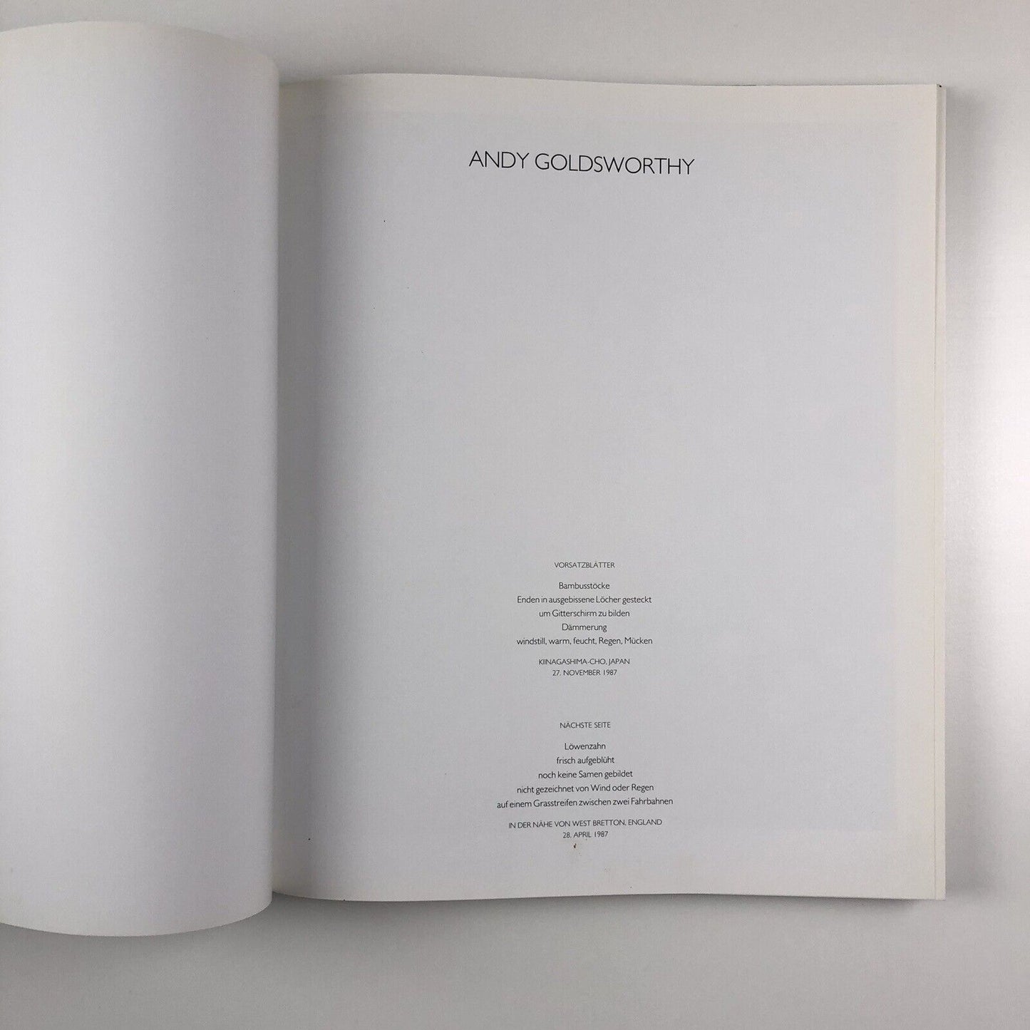 Andy Goldsworthy | Zweitausendeins, 2000