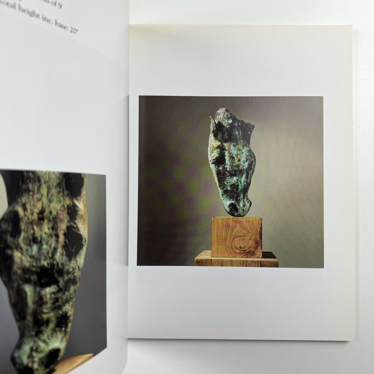 Nic Fiddian-Green. Recent Sculpture | Exhibition catalogue | Sladmore Gallery 1999