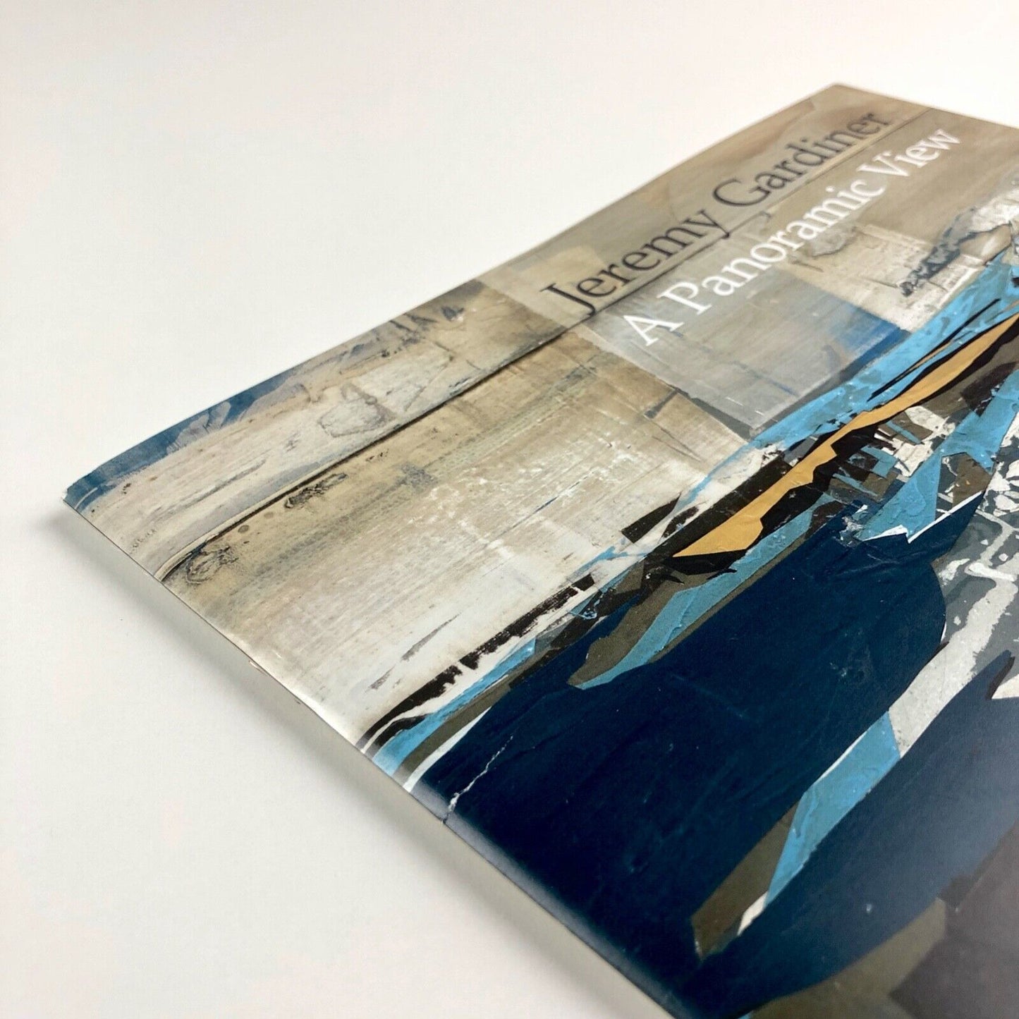 Jeremy Gardiner: A Panoramic View catalogue | Pallant House / Paisnel Gallery, 2010