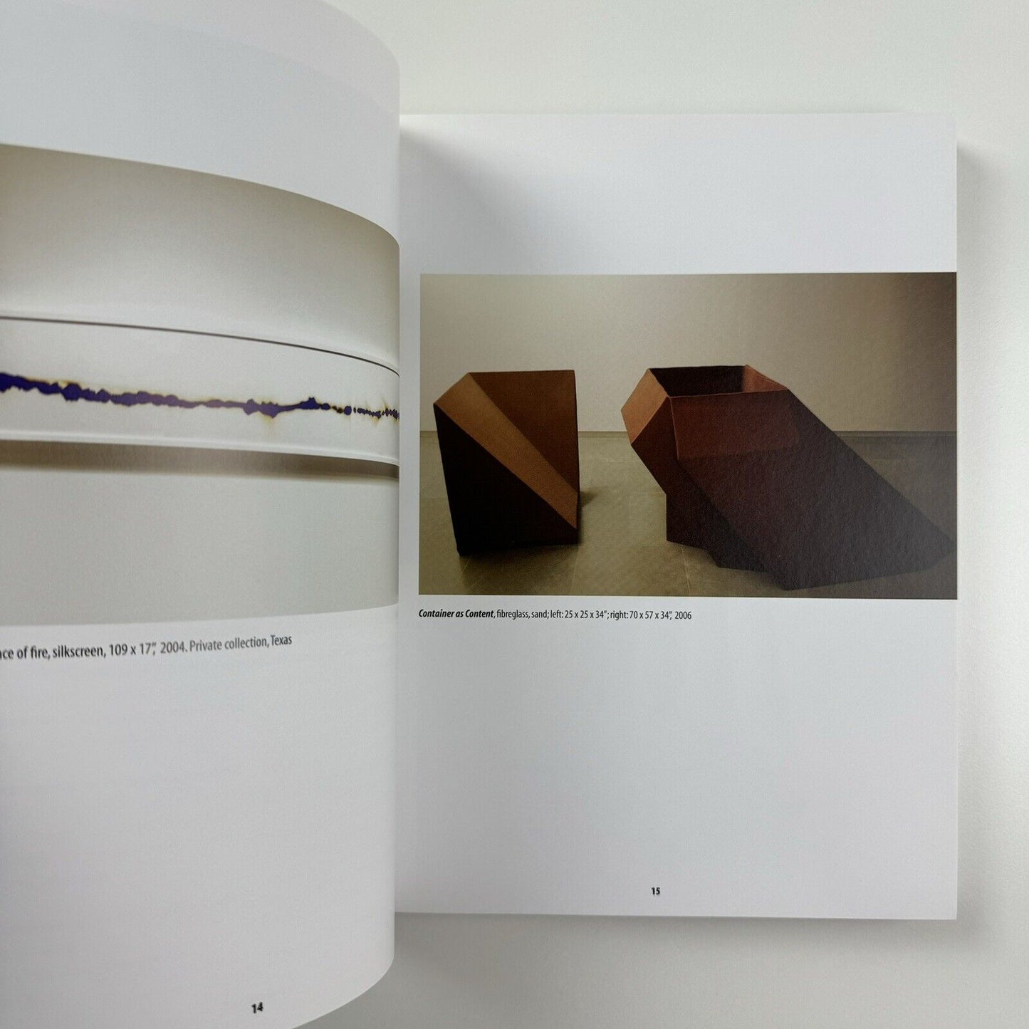 India 20. Conversations with Contemporary Artists by Anupa Mehta | Mapin Publishing, 2007