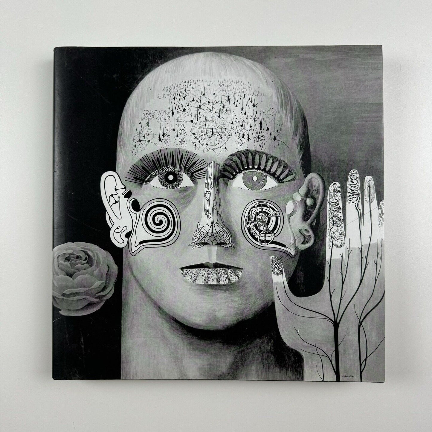A Snapper up of Unconsidered Trifles | Tribute to Barbara Jones | Ruth Artmonsky, 2008