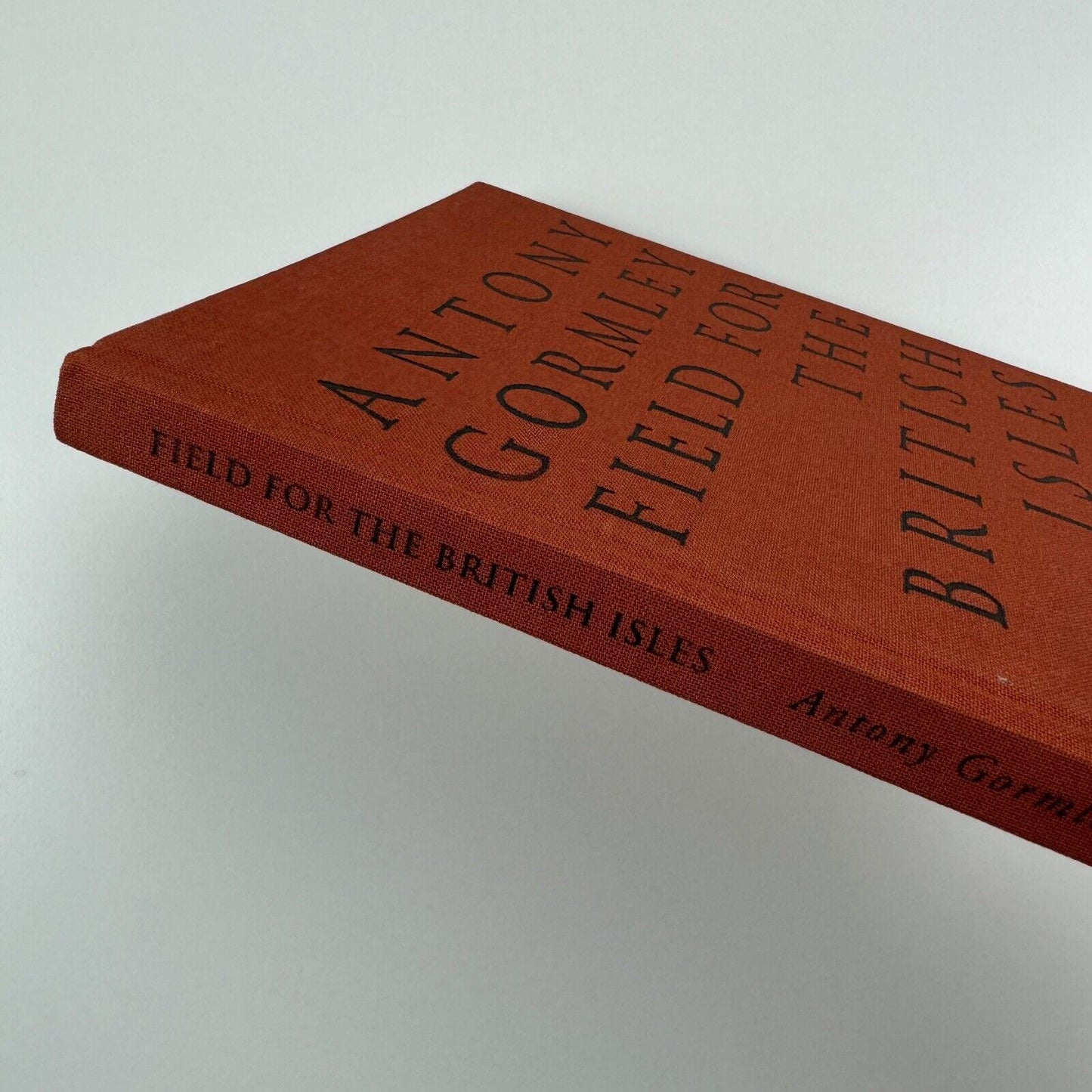 Antony Gormley Field for the British Isles 1996 |Edited by Oriel Mostyn | Signed by the artist