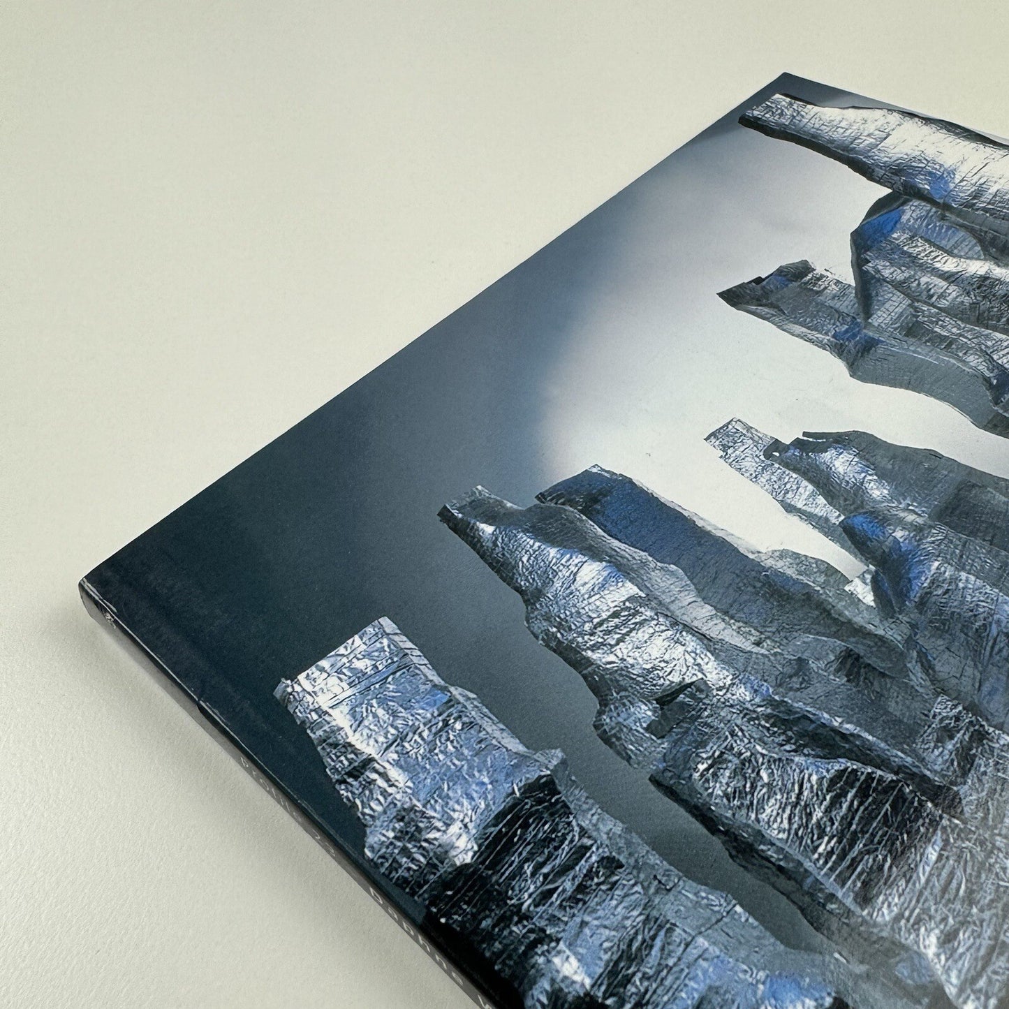 Profile 23. Daphne Wright | Limerick City Gallery of Art | Gandon Editions, 2006