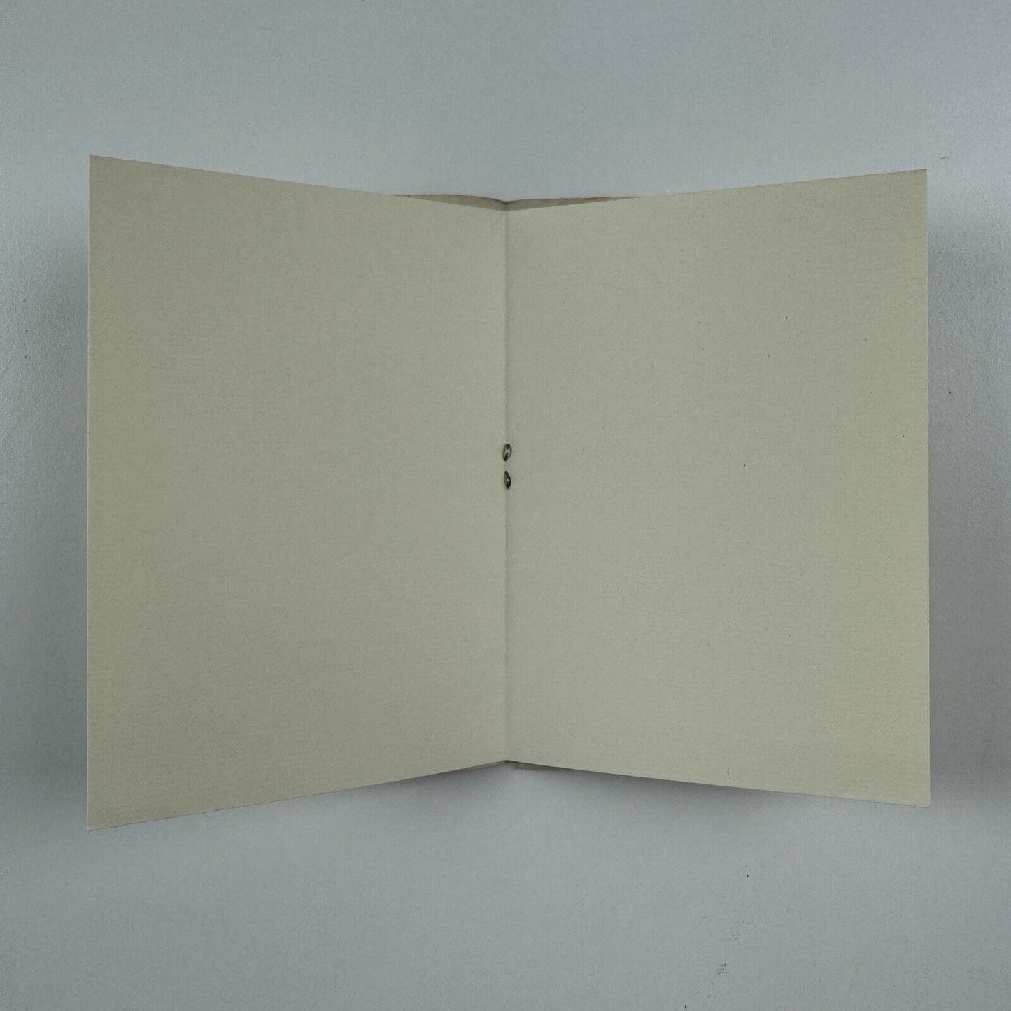 A History of Printing in Buckland Dinham by Tony Appleton | Christmas 1983 | blank pages throughout | limited edition this 30/100