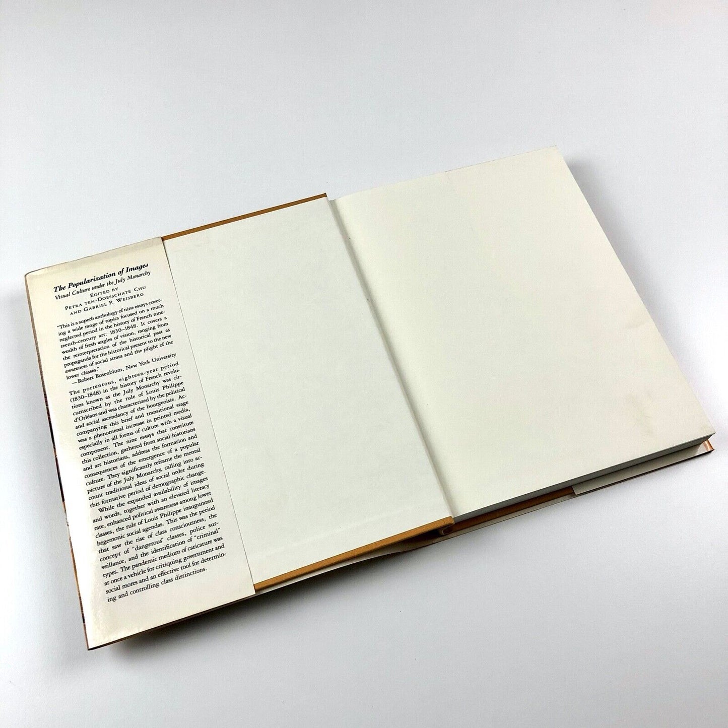 The Popularization of Images | Petra Ten-Doesschate Chu & Gabriel Weisberg, 1994