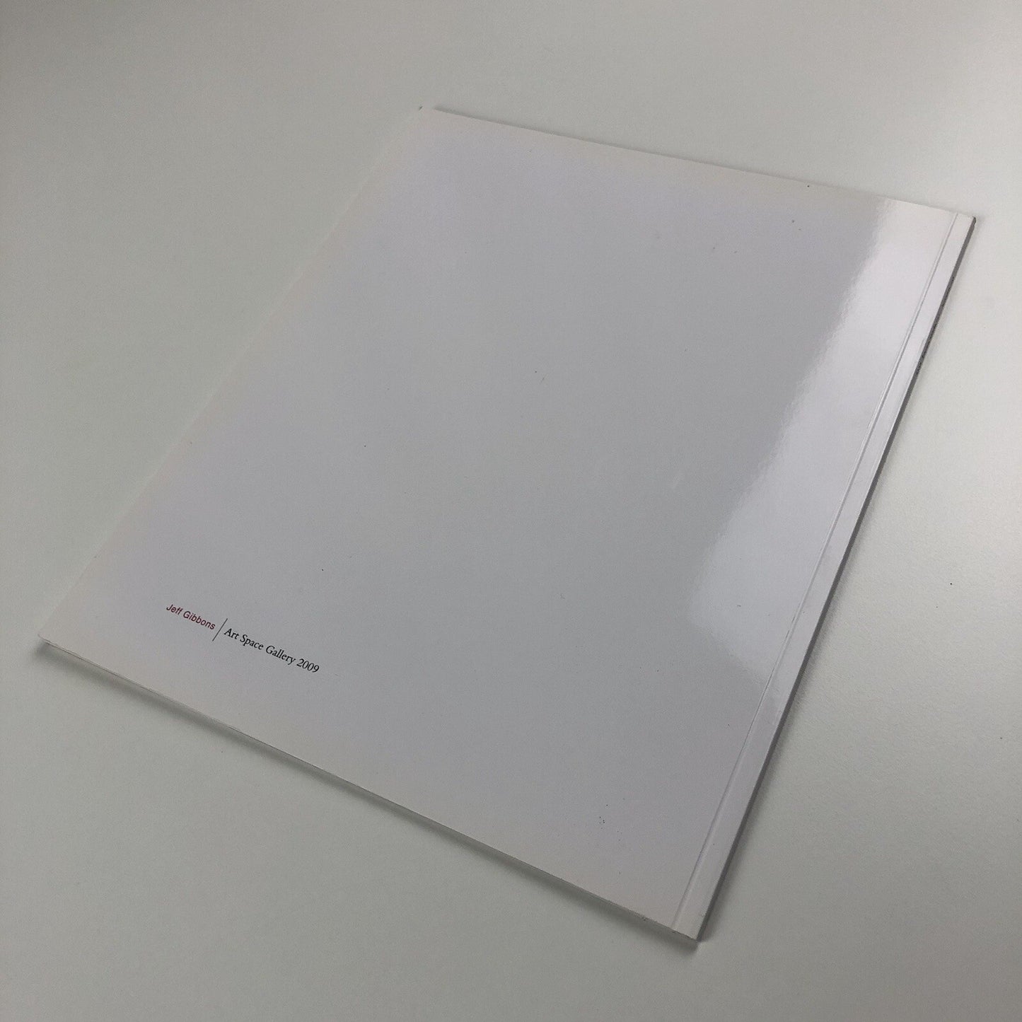 Jeff Gibbons – Vanitas Paintings and Drawings | Art Space Gallery catalogue, 2009