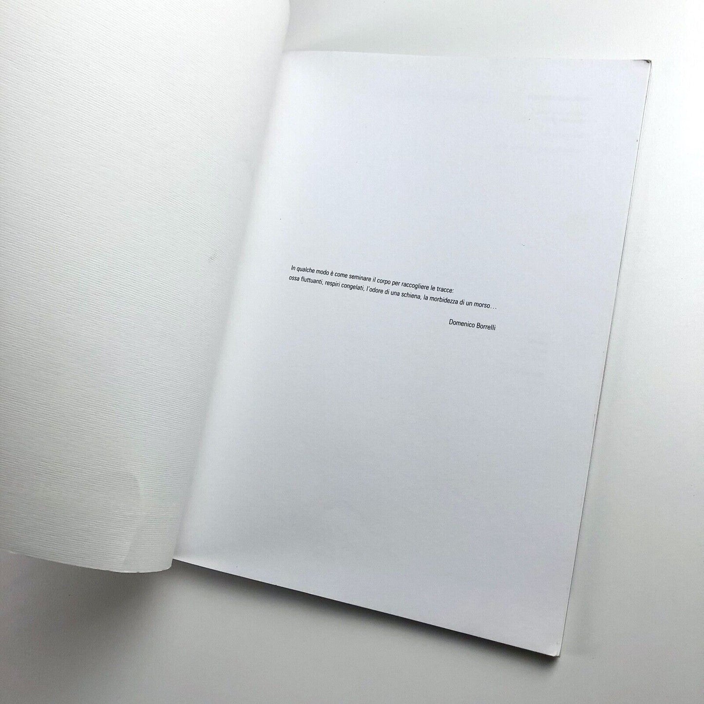Domenico Borrelli exhibition catalogue | Studio Recalcati, Torino, 1998