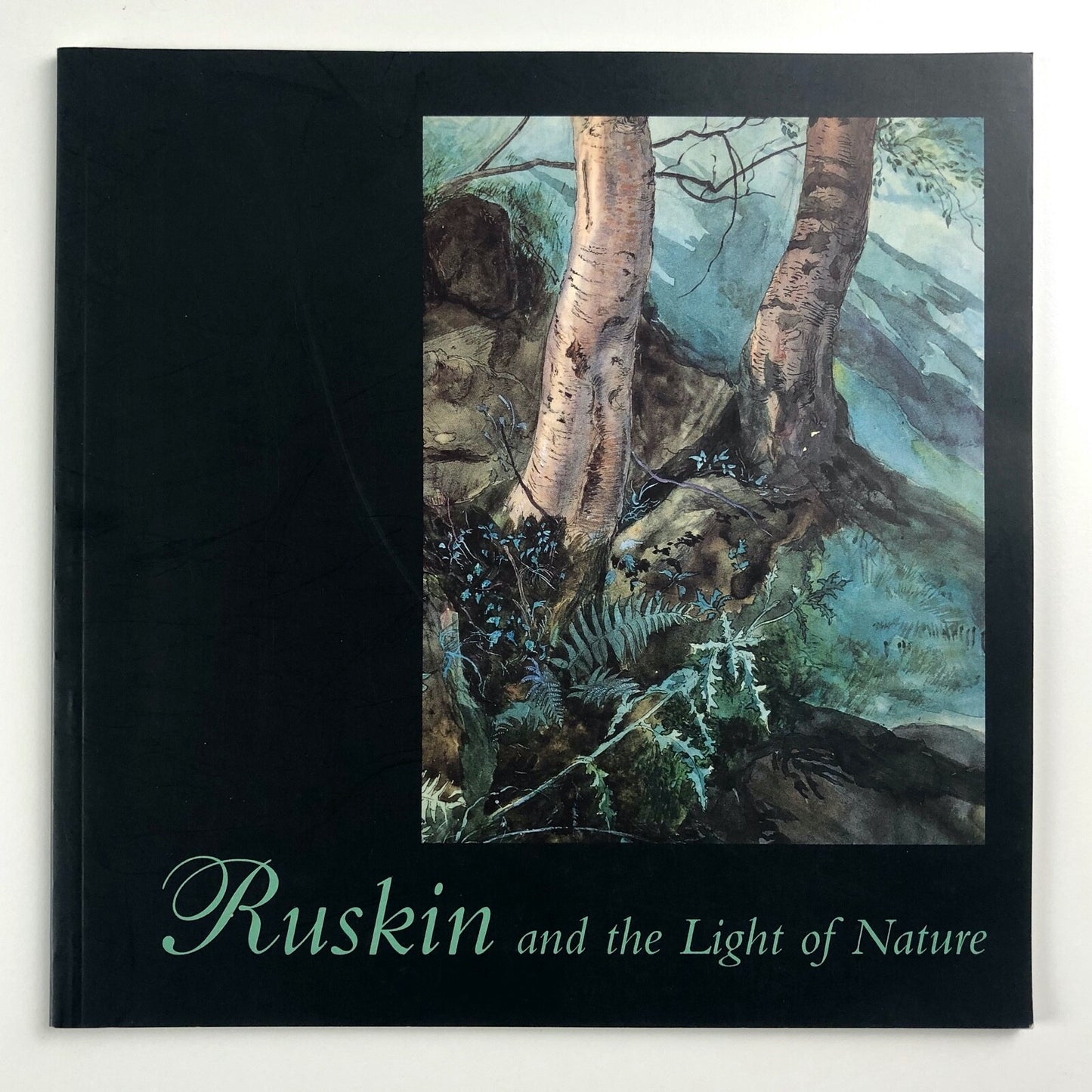 Ruskin and the Light of Nature | Abbot Hall Art Gallery catalogue, 2000