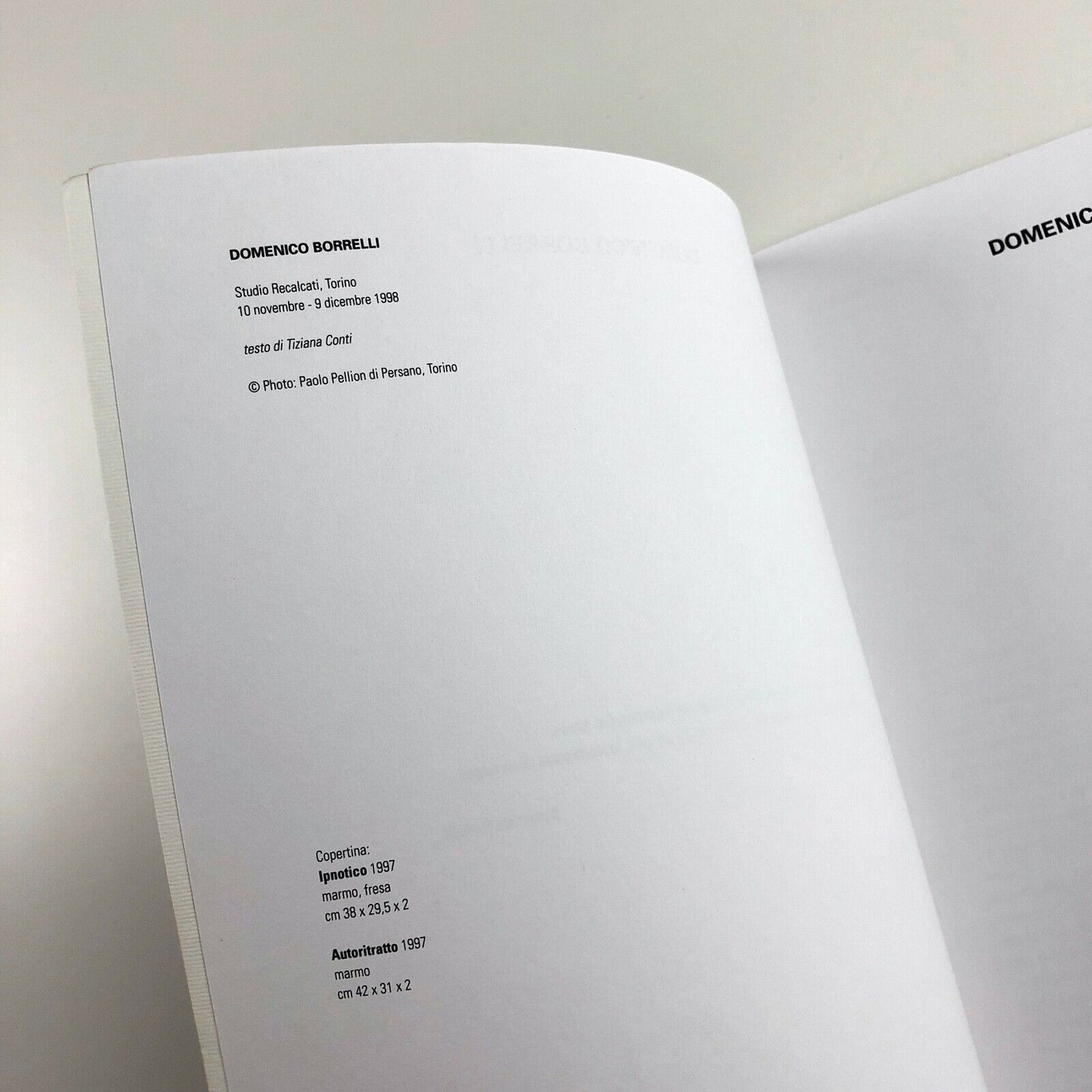 Domenico Borrelli exhibition catalogue | Studio Recalcati, Torino, 1998