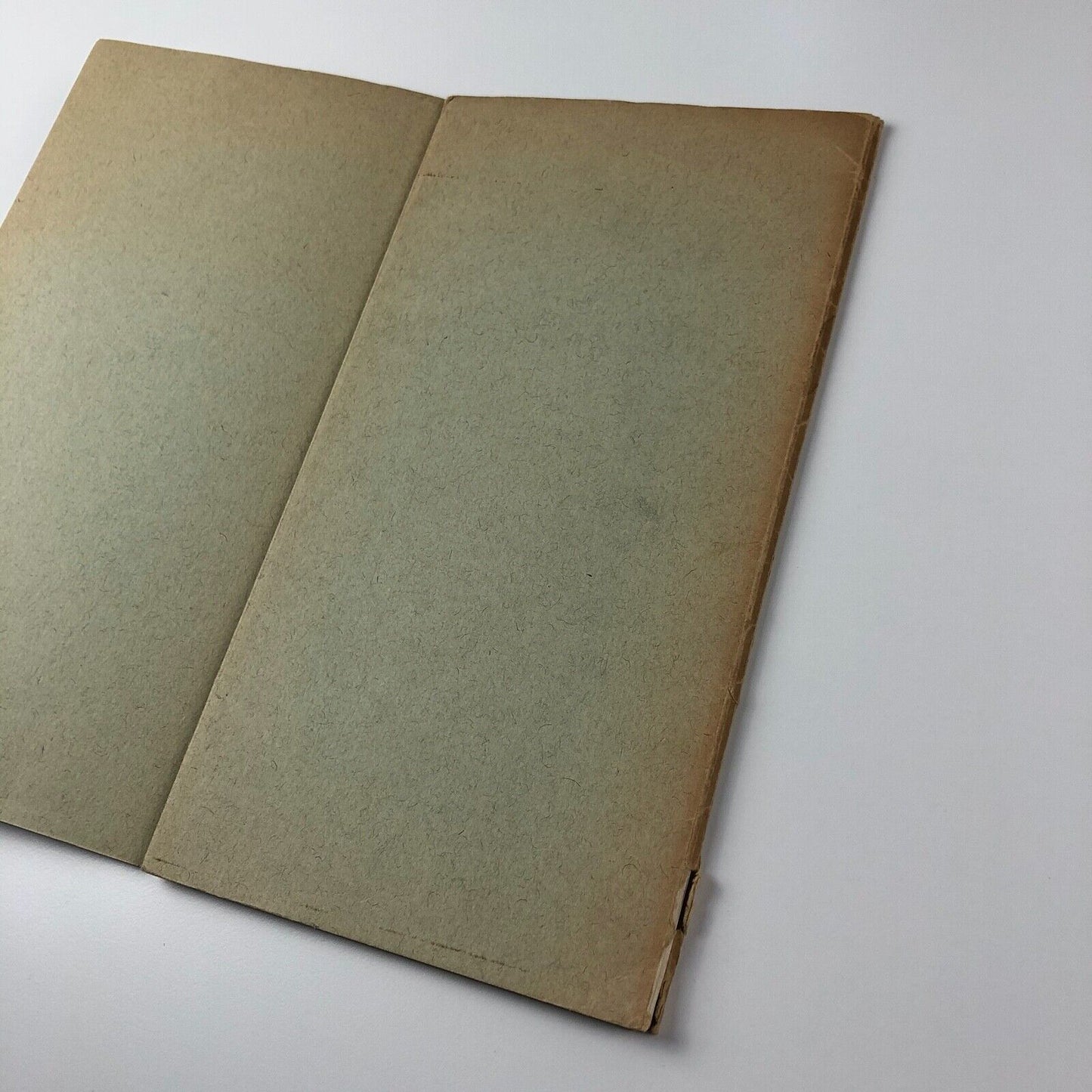 Schrift Ecriture Lettering by Adrian Frutiger | 1951 text by Alfred Willman