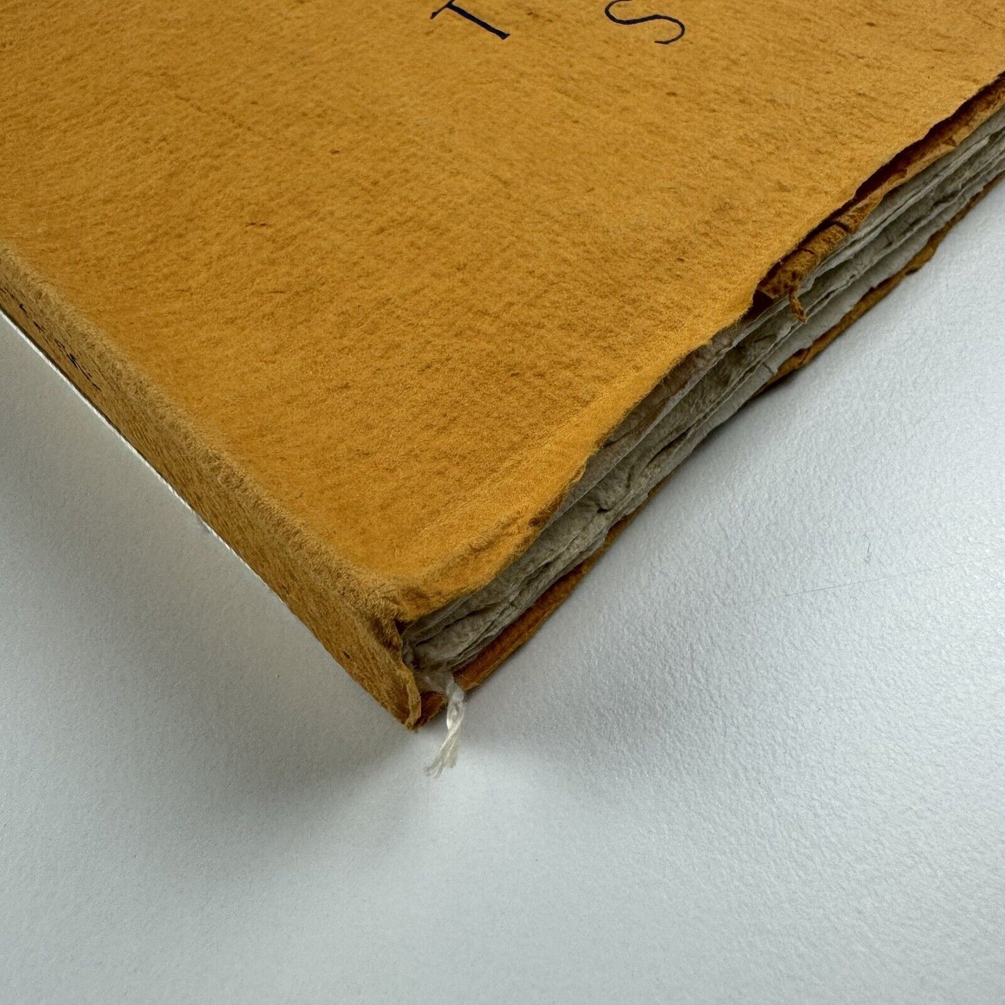 Circus Turn by Ronald Ron King | Circle Press 1994, unlimited edition
