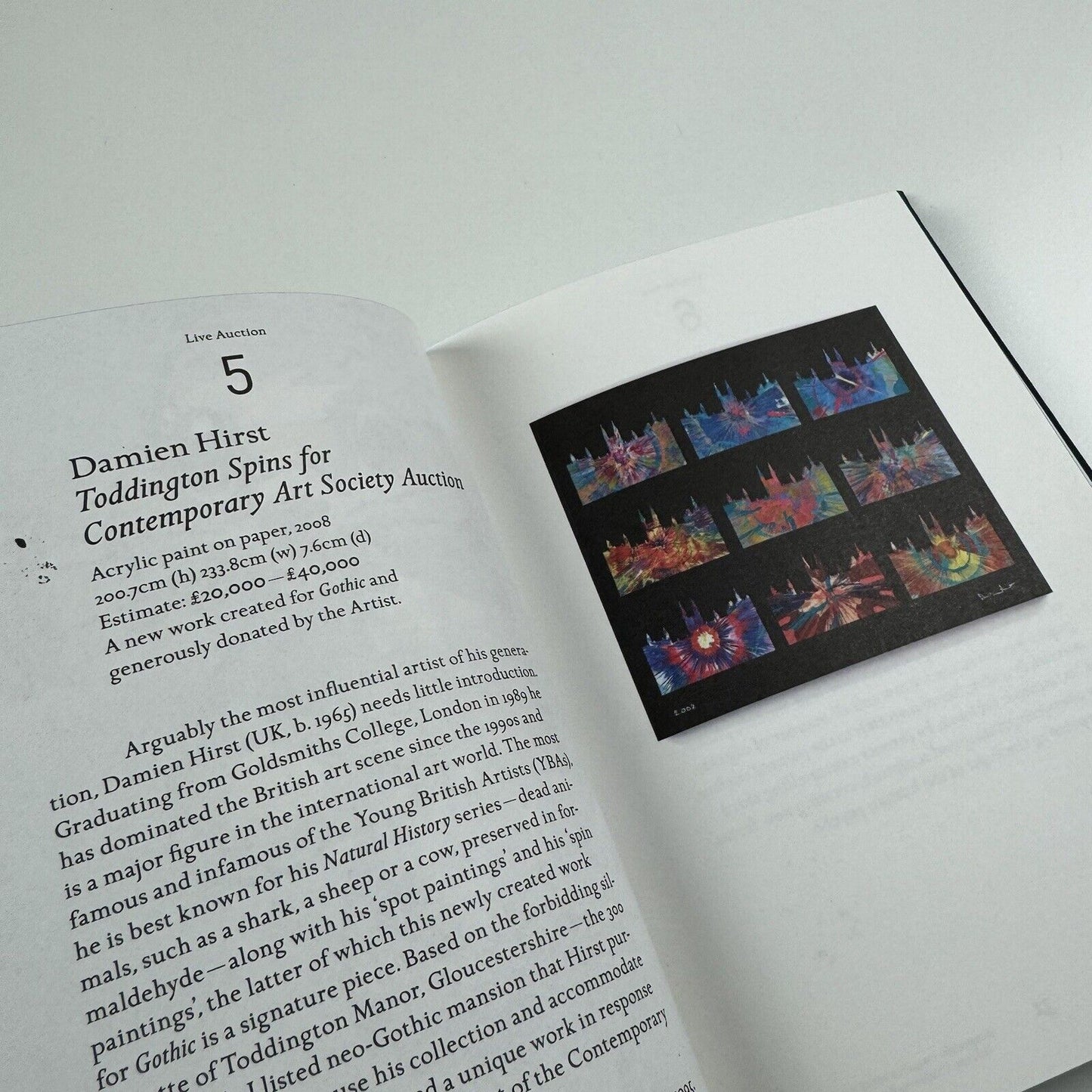 Gothic Auction Catalogue | Contemporary Art Society, London, 2009