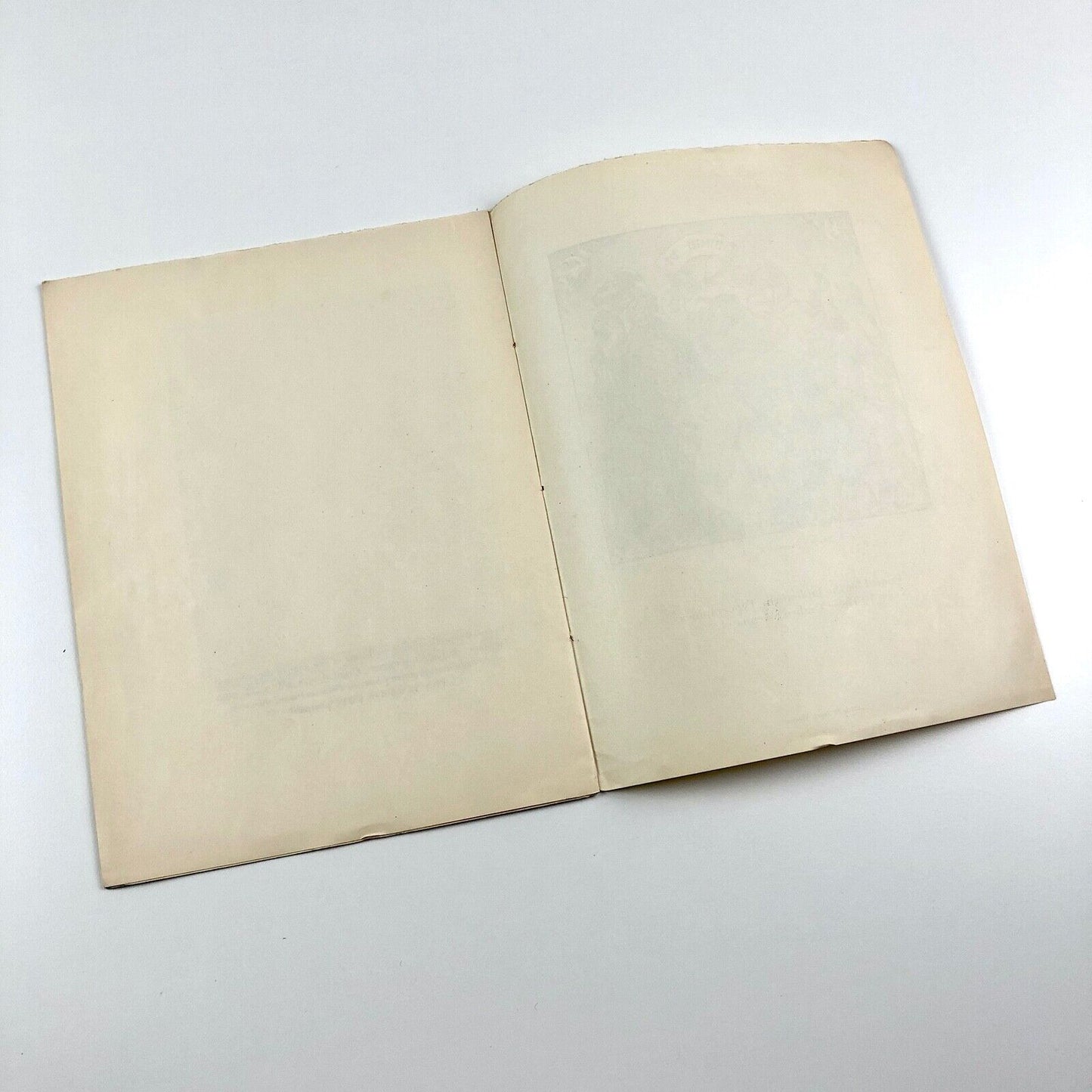 The Indispensable Books for Collectors of Fine Printing | Bibliotheca Typographica