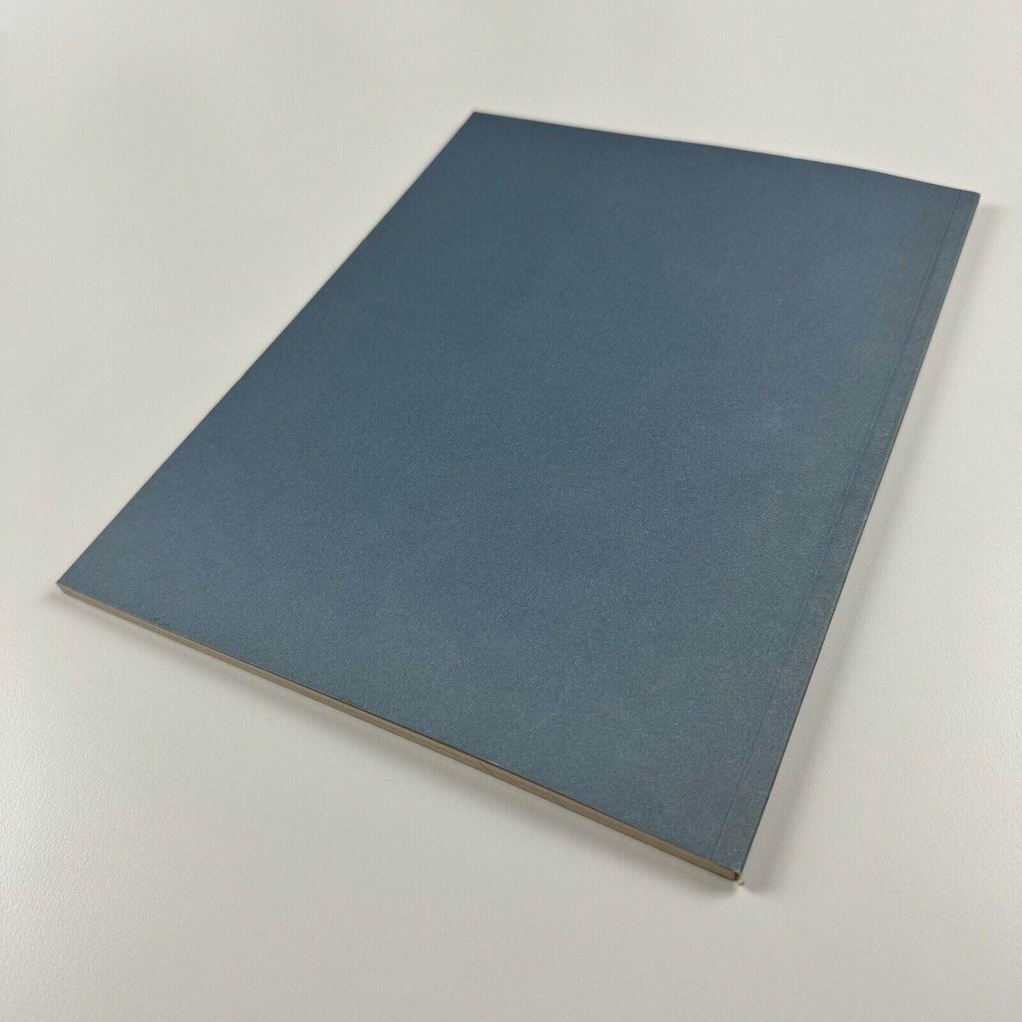 Sheila Girling. Paintings | New Art Centre, Roche Court, 2007