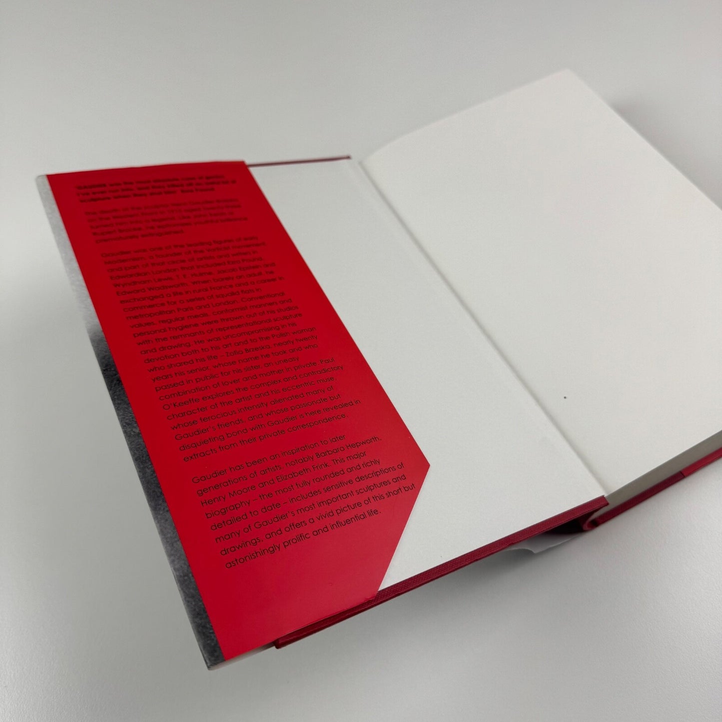Gaudier-Brzeska. An absolute case of genius by Paul O’Keeffe | Allen Lane, Penguin, 2004
