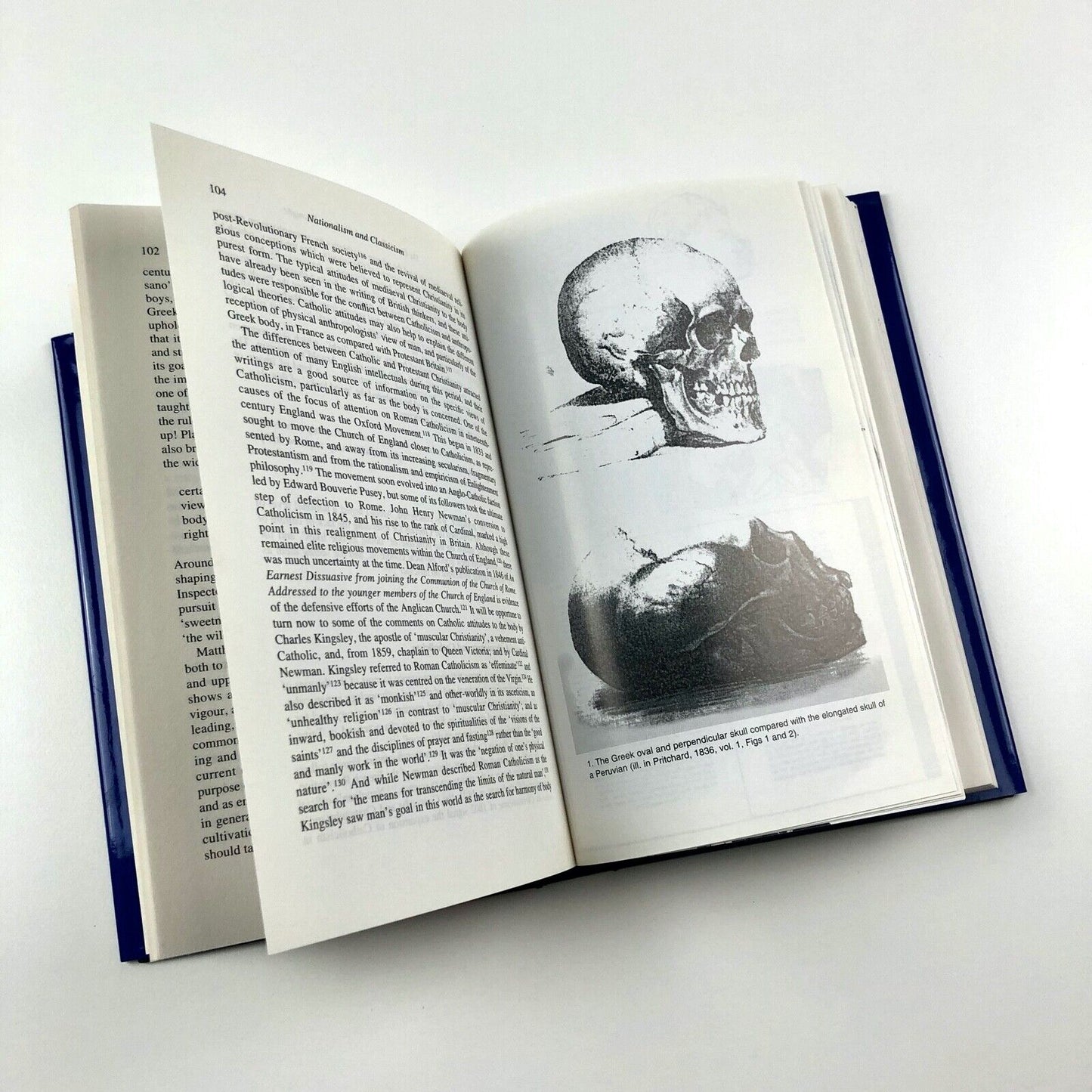 Nationalism and Classicism by Athena S. Leoussi | Macmillan Press / University of Reading, 1998