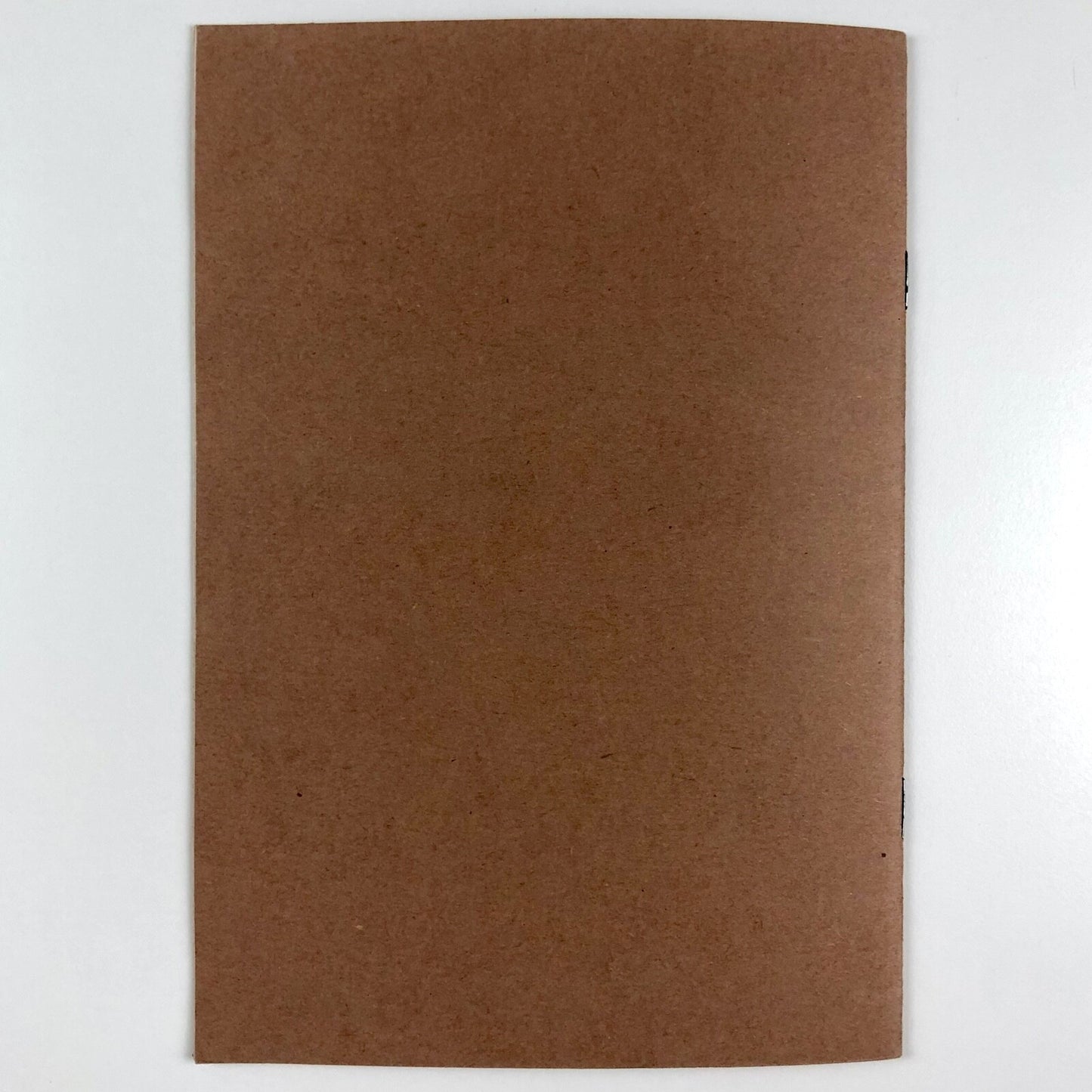 Mir Poets 19 - Views from Myeloma (excerpts 17 and 18) by Tom Scott 1988