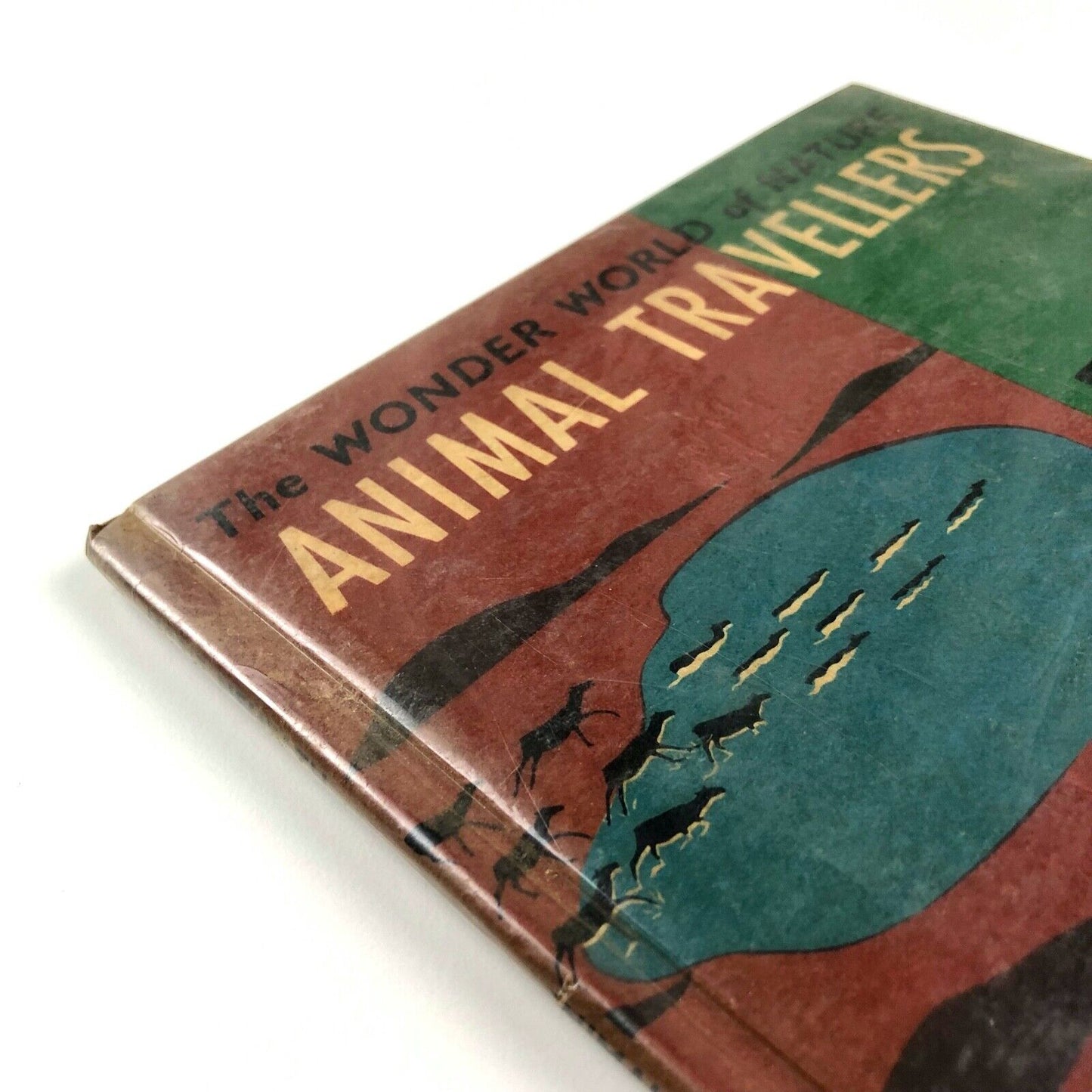 The Wonder World of Nature: Animal Travellers | Marie Neurath / Isotype 1959