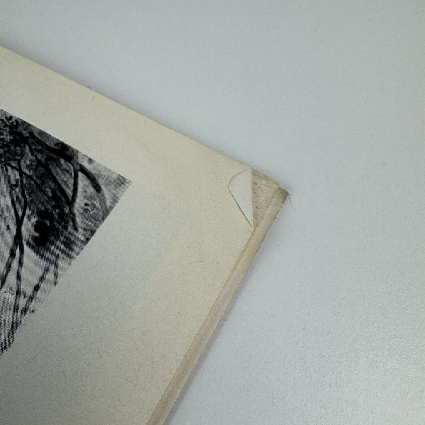 Recent works by Edward Burra | The Lefevre Gallery catalogue booklet, 1975