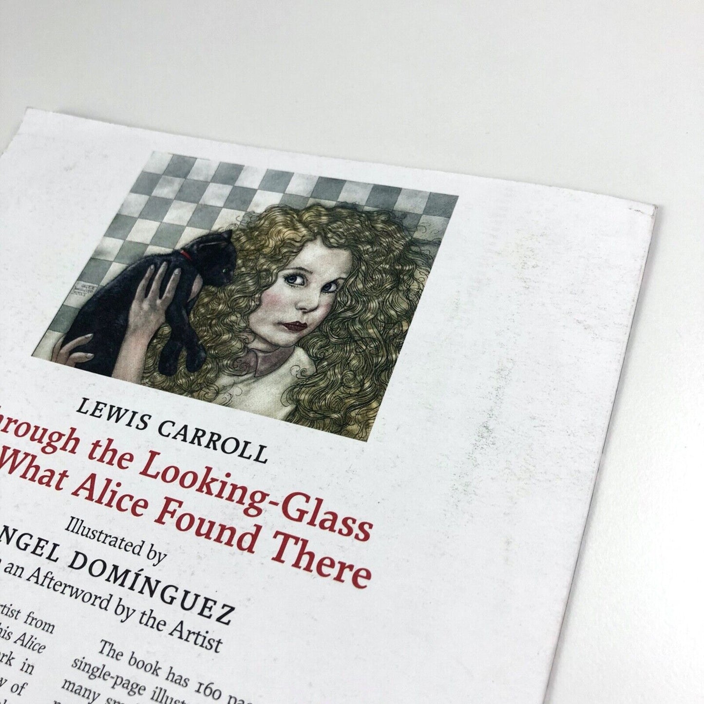 Prospectus for Through The Looking Glass Lewis Carroll | The Inky Parrot Press | Illustrations by Angel Domínguez