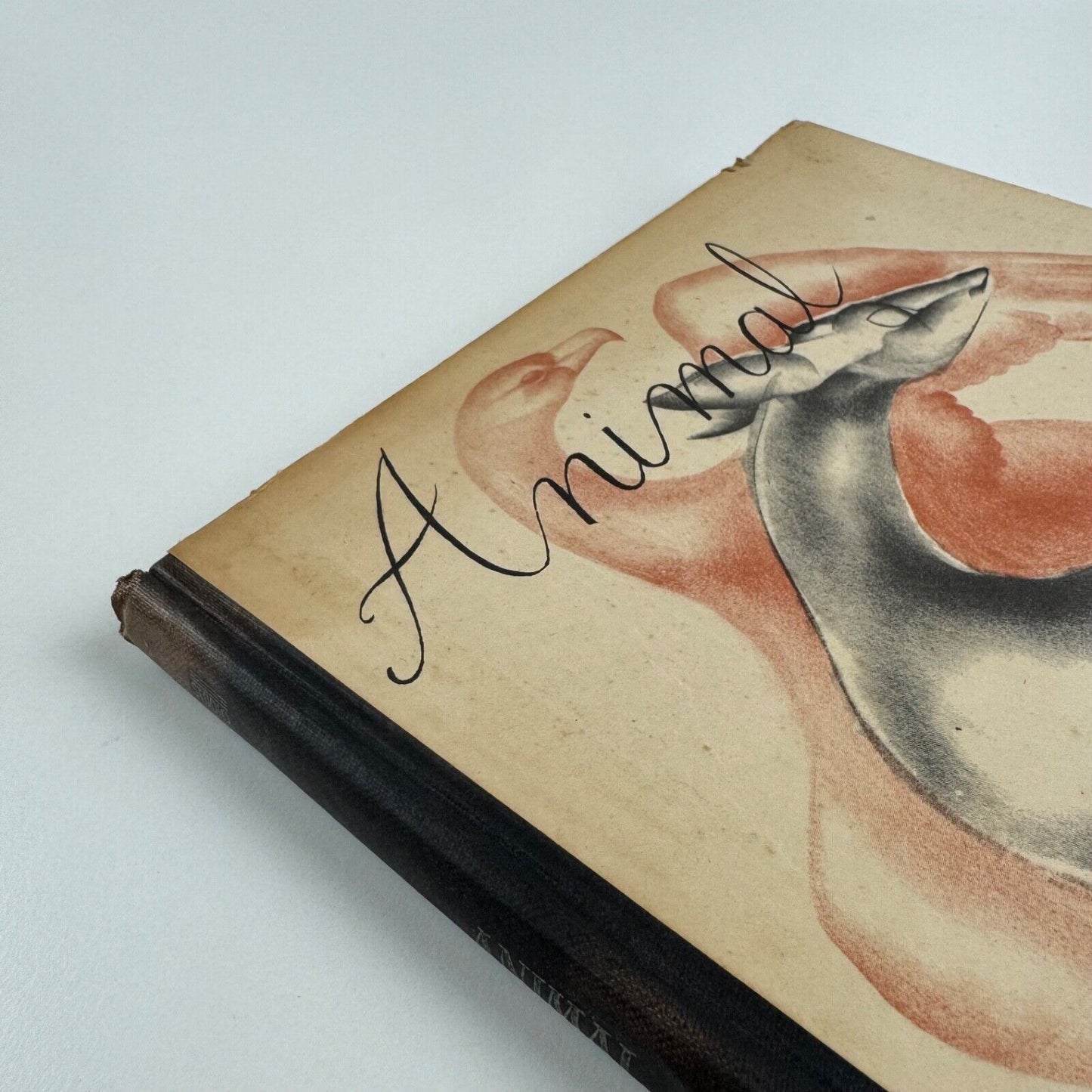 Animal Drawing by John Skeaping. No. 10 The Studio How to do it series 1944 reprinted edition