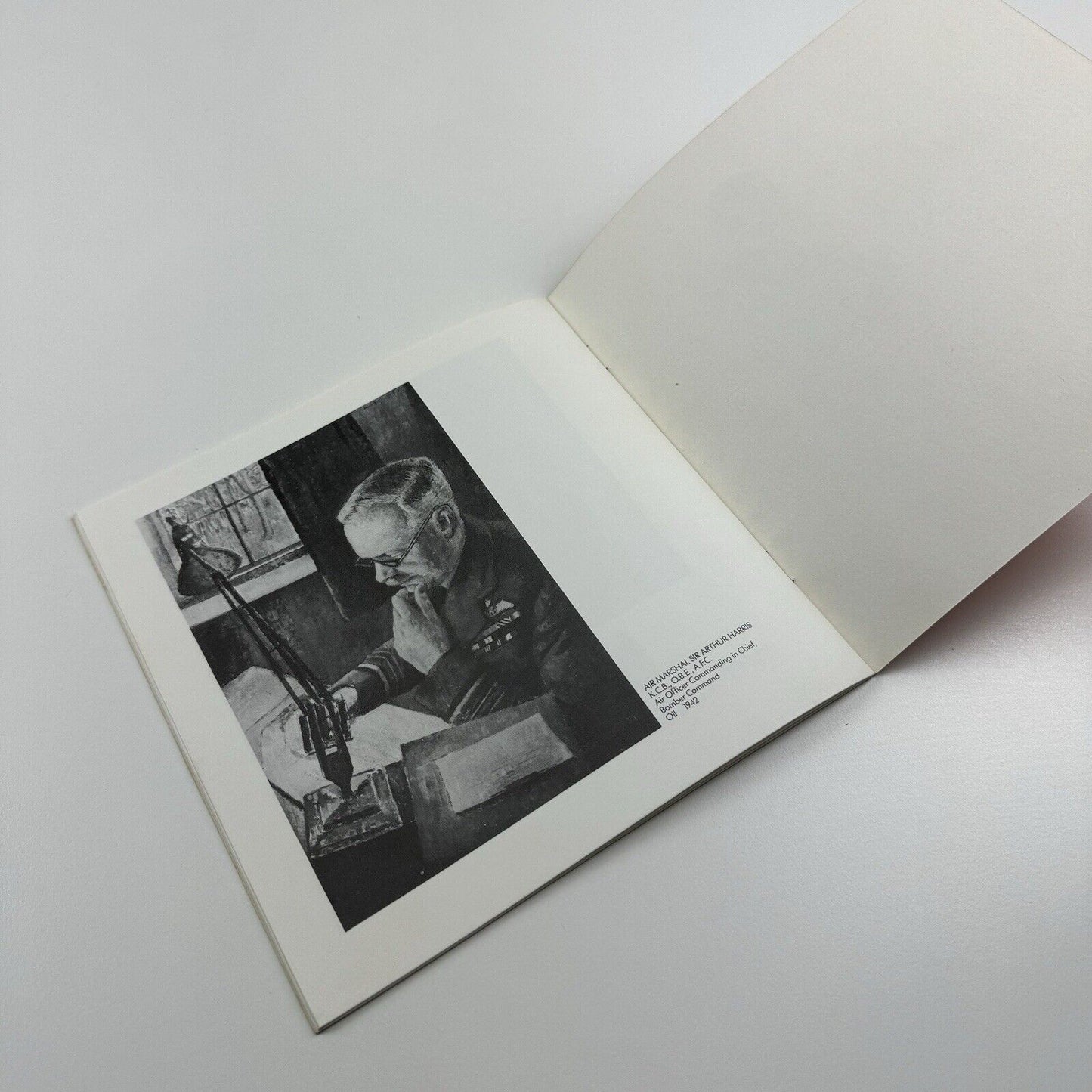 David Rolt by Alastair Forbes | publisher not given, 1986