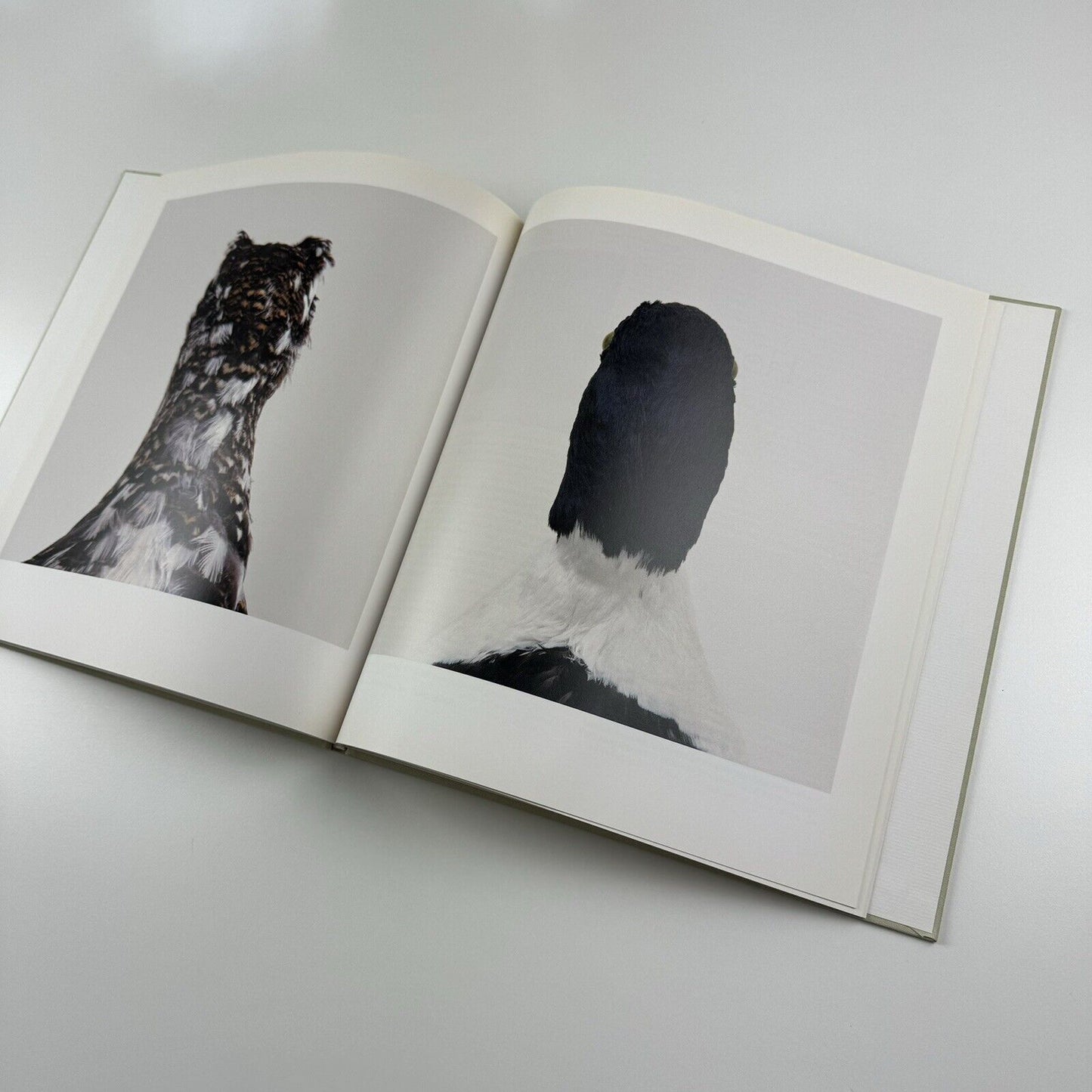 Bird. Roni Horn catalogue | Steidl Hauser & Wirth, London 2008