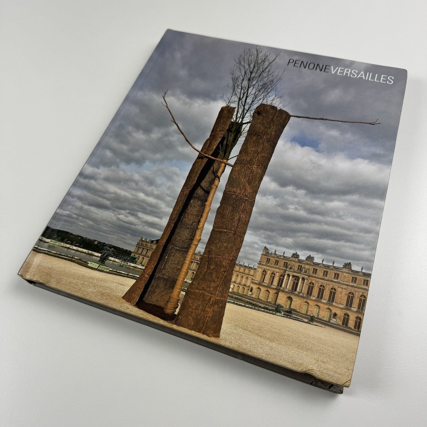 Penone – Versailles | Musée National du Château De Versailles, 2013