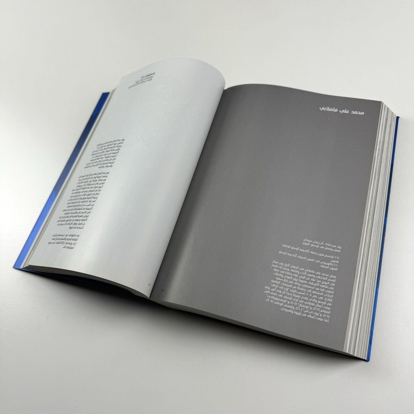 Re-emerge: Towards a New Cultural Cartography | Sharjah Art Foundation catalogue, 2013
