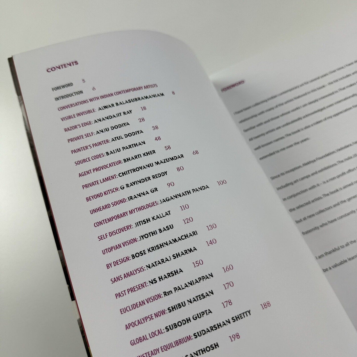India 20. Conversations with Contemporary Artists by Anupa Mehta | Mapin Publishing, 2007