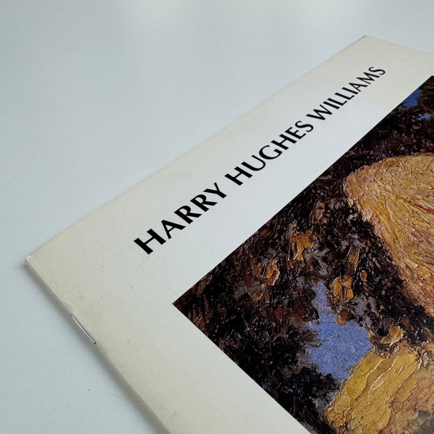 Harry Hughes Williams | Oriel Ynys Môn, 1992