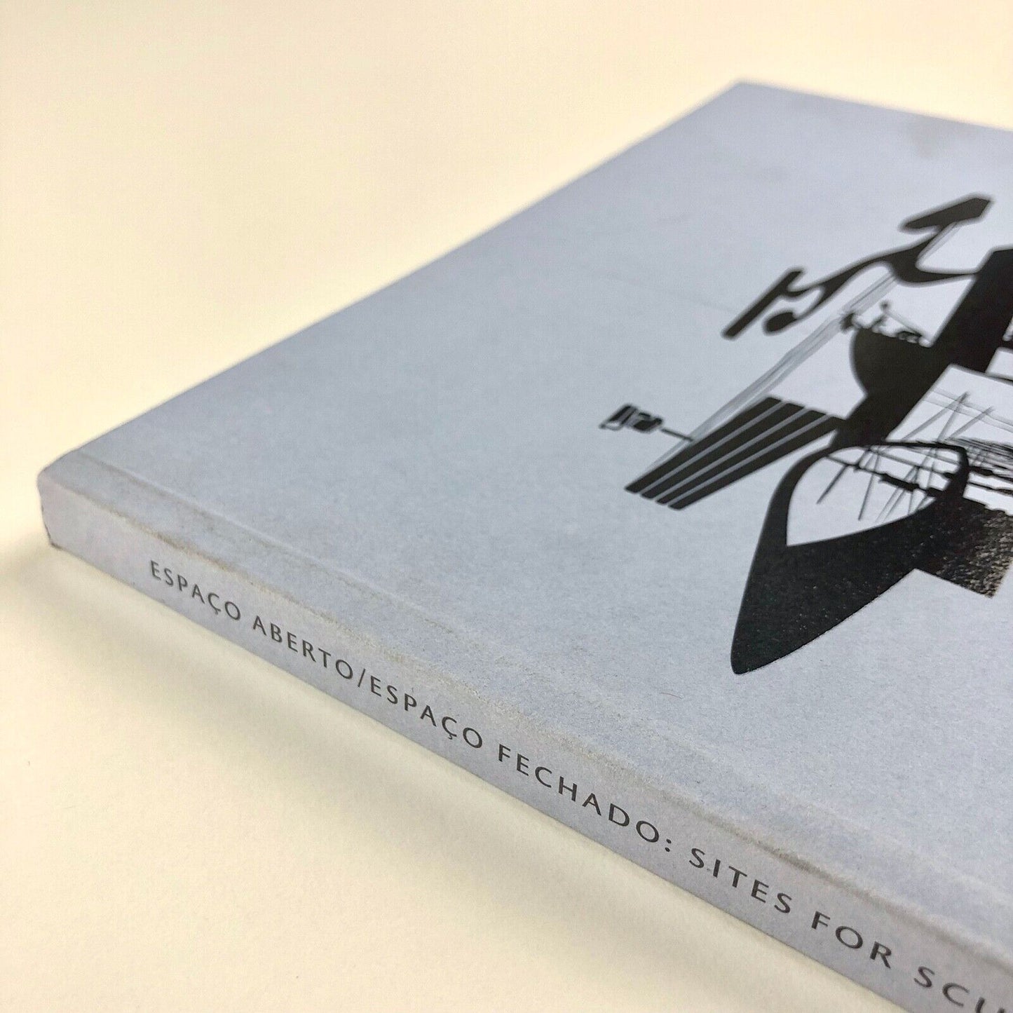 Espaço Aberto: Sites for Sculpture in Modern Brazil | Henry Moore Institute 2006
