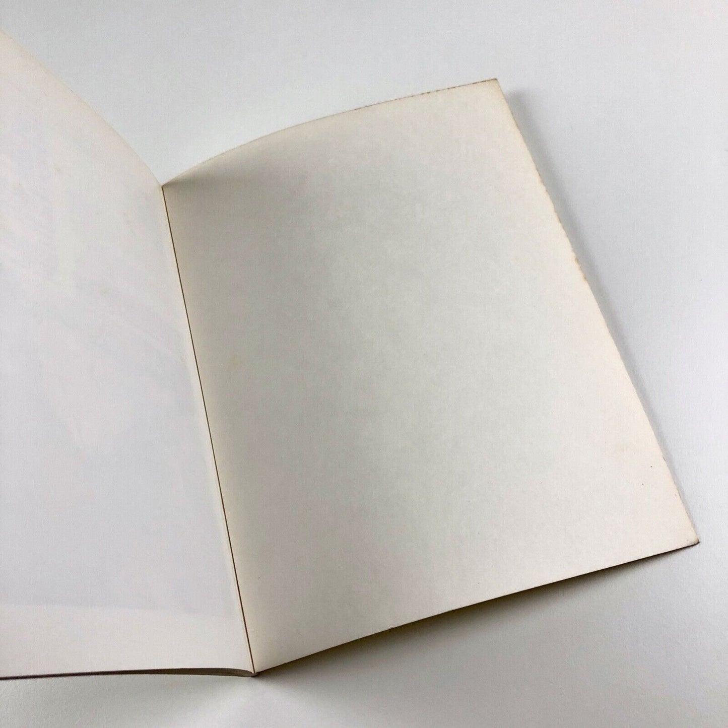 Sense and Sensibility. In Feminist Art Practice | Midland Group Nottingham, 1982