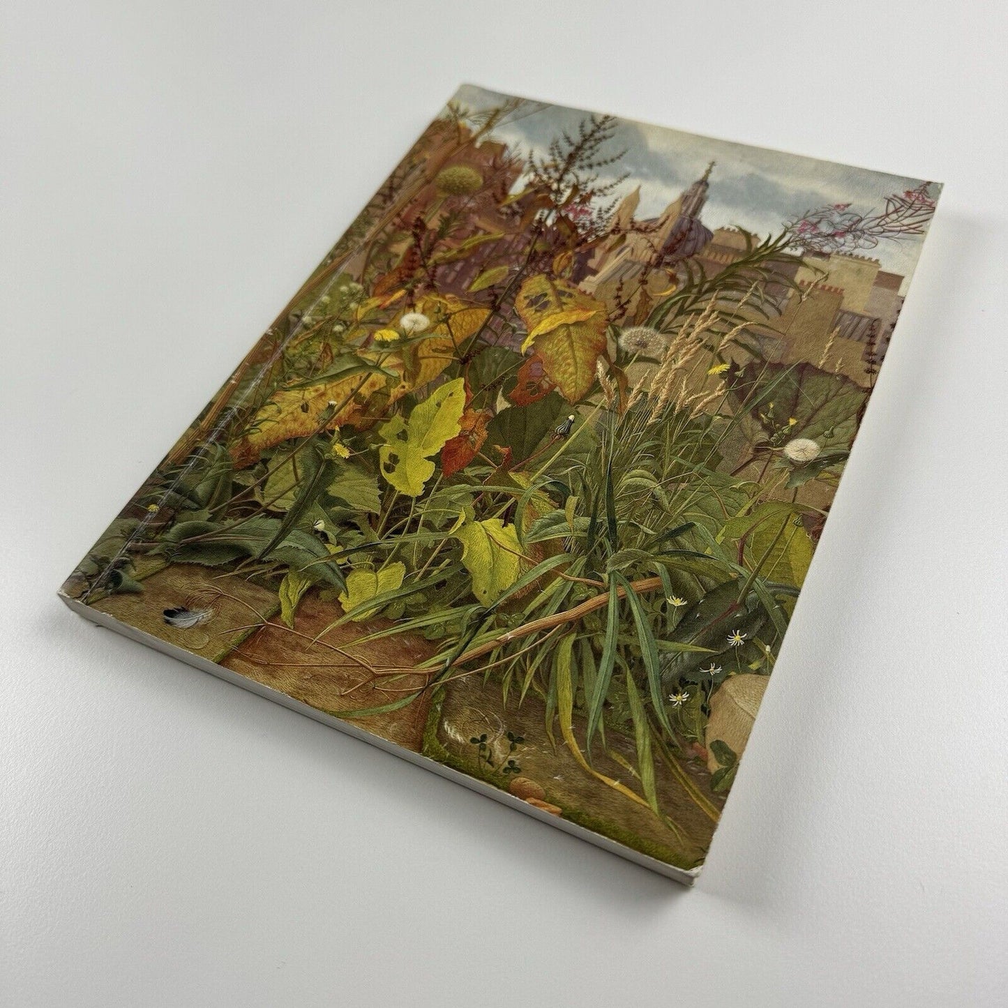 Eliot Hodgkin 1905-1987. Painter & Collector Hazlitt, Gooden & Fox 1990