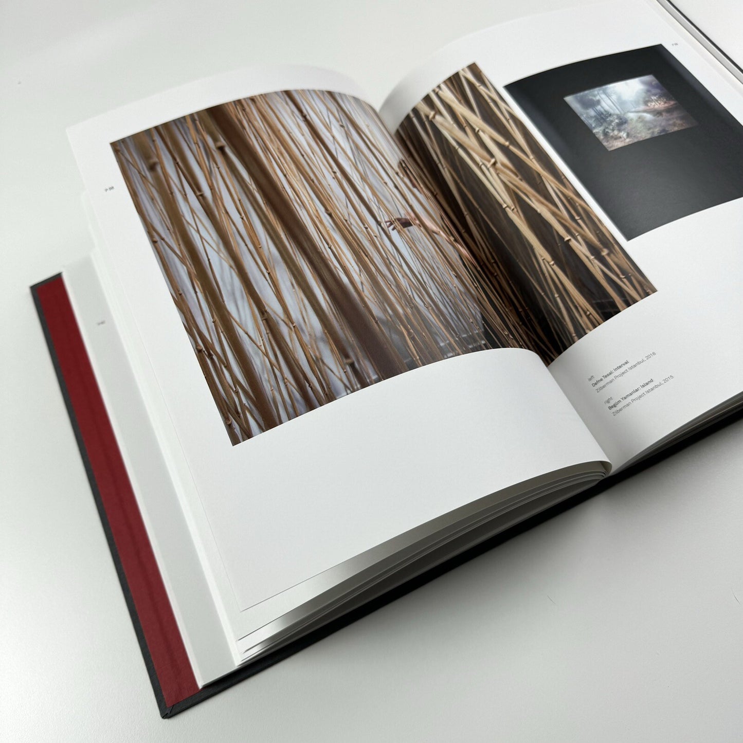 10 years – Zilberman Gallery | Edited by Basak Senova, 2018