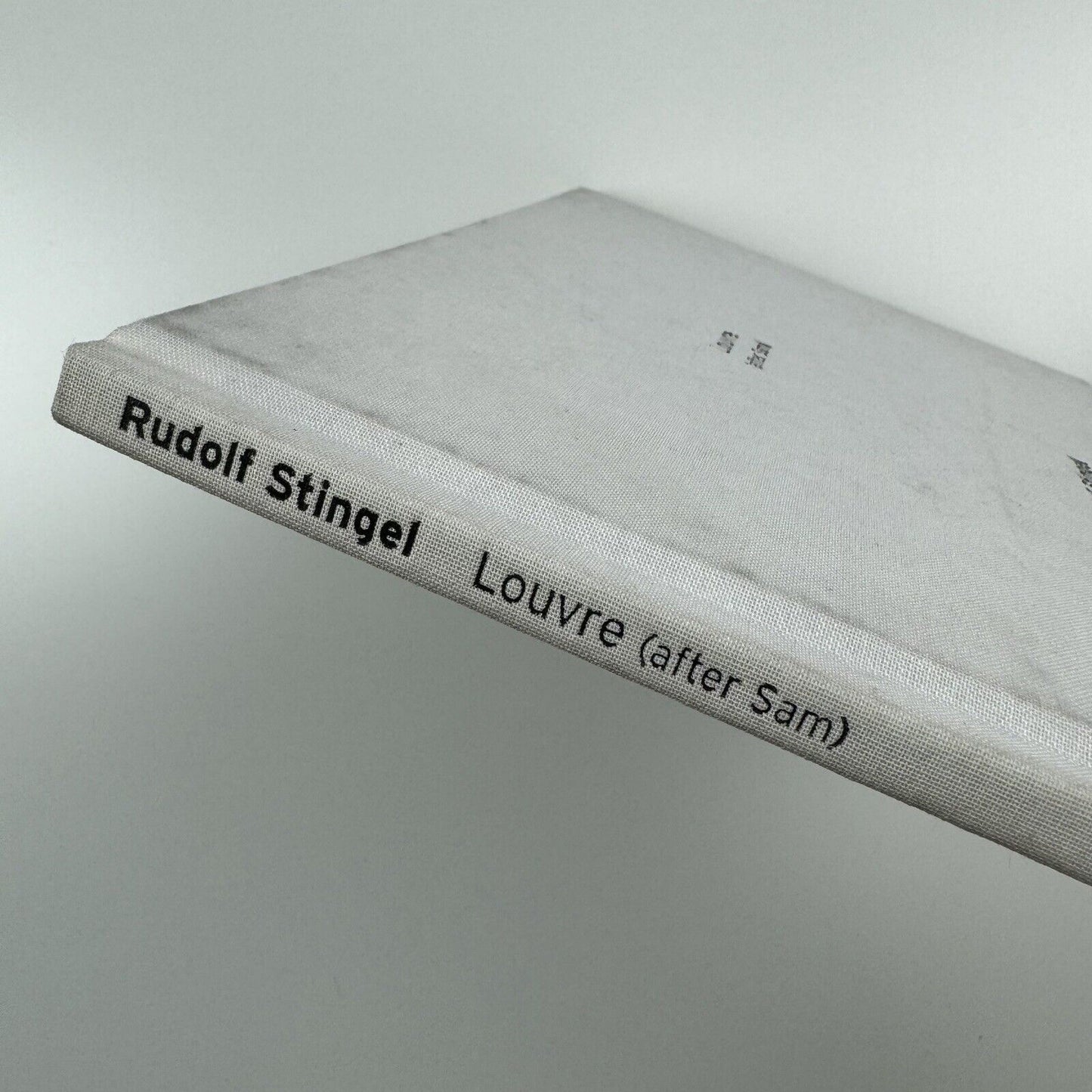 Rudolf Stingel Louvre (after Sam) | Sadie Coles held at Inverleith House, 2006