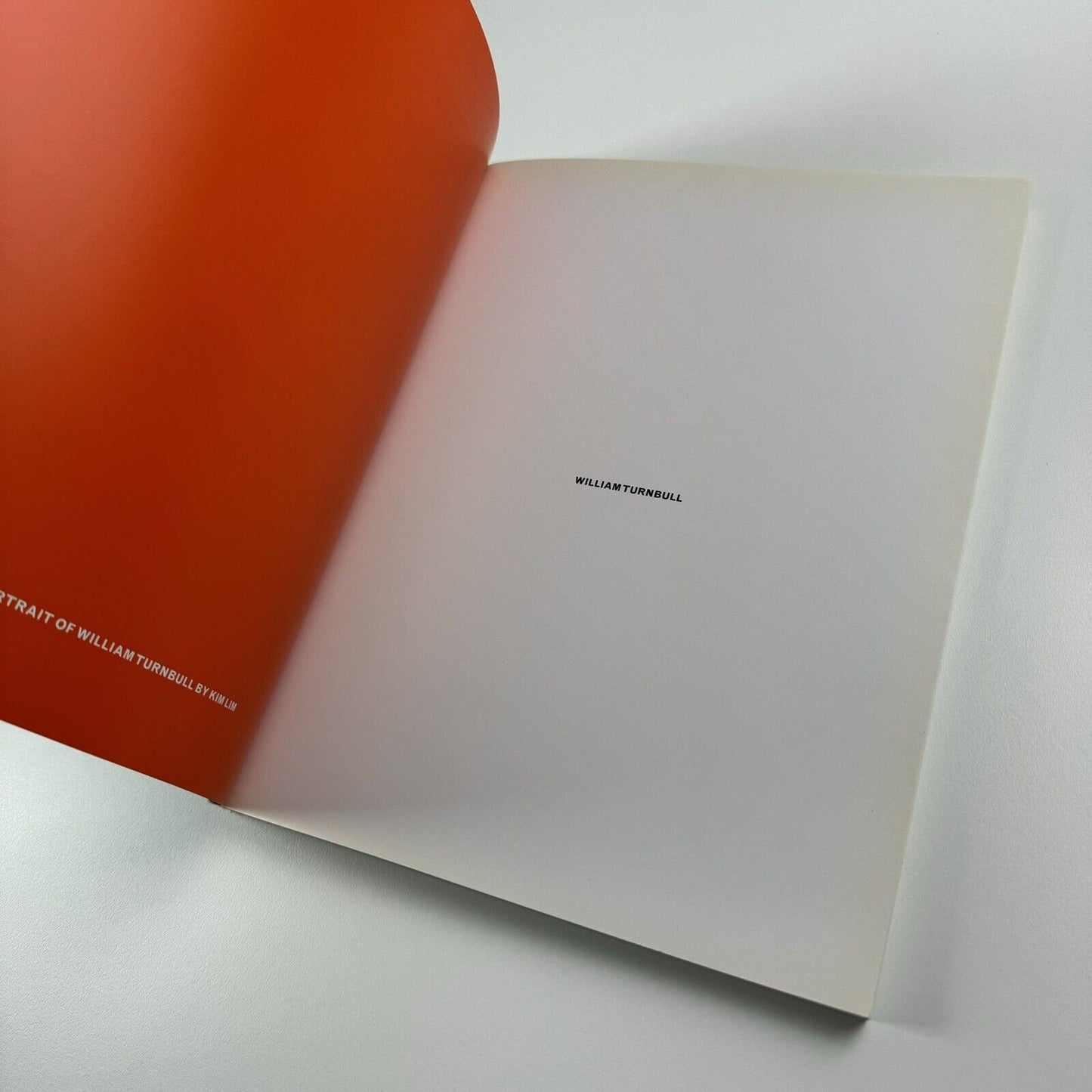 William Turnbull: Beyond Time | Waddington Galleries, 2010