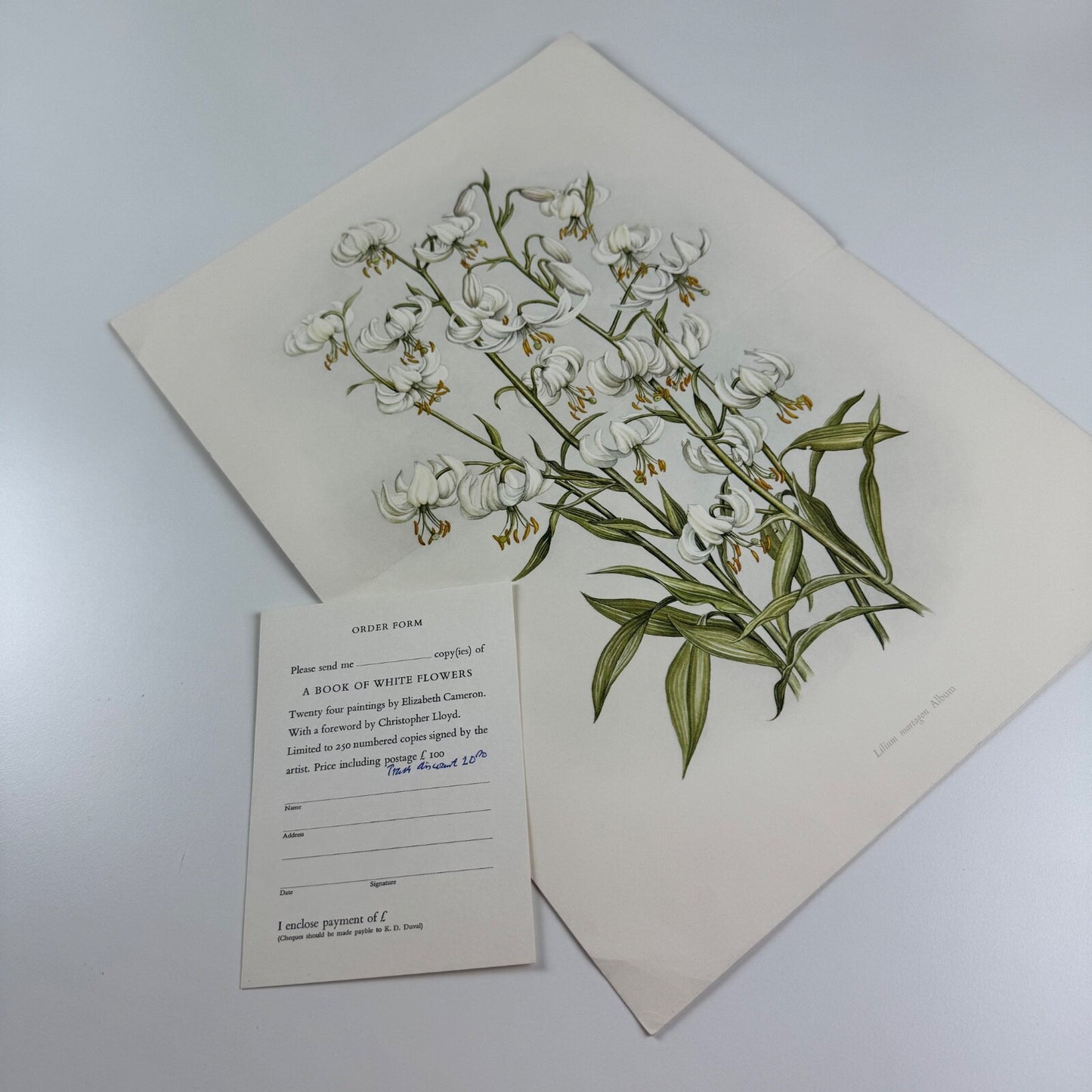Prospectus for A Book of White Flowers by Elizabeth Cameron K.D. Duval 1980