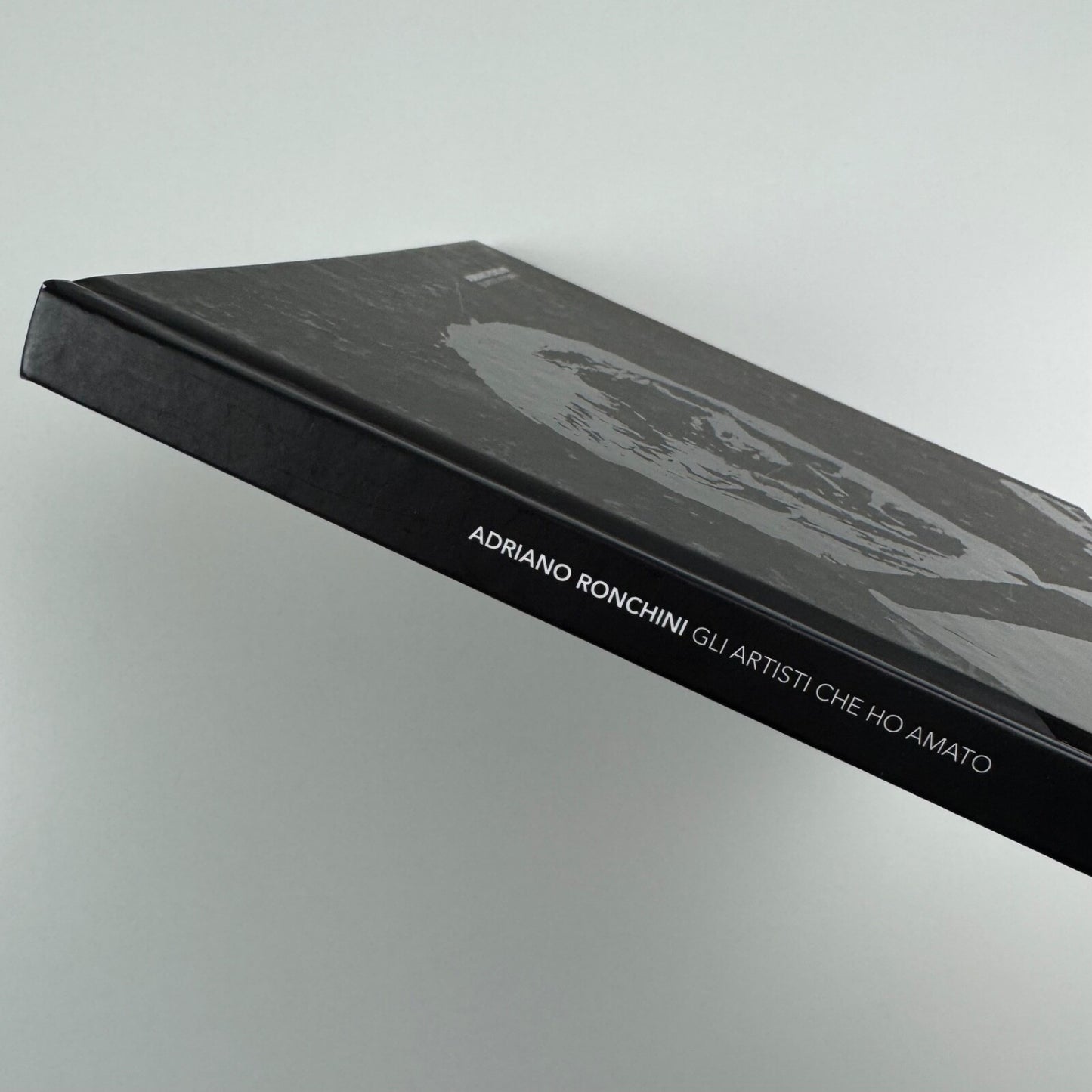 Adriano Ronchini. Gli artisti che ho amato | Edizioni Indisciplinarte, Terni, 2012