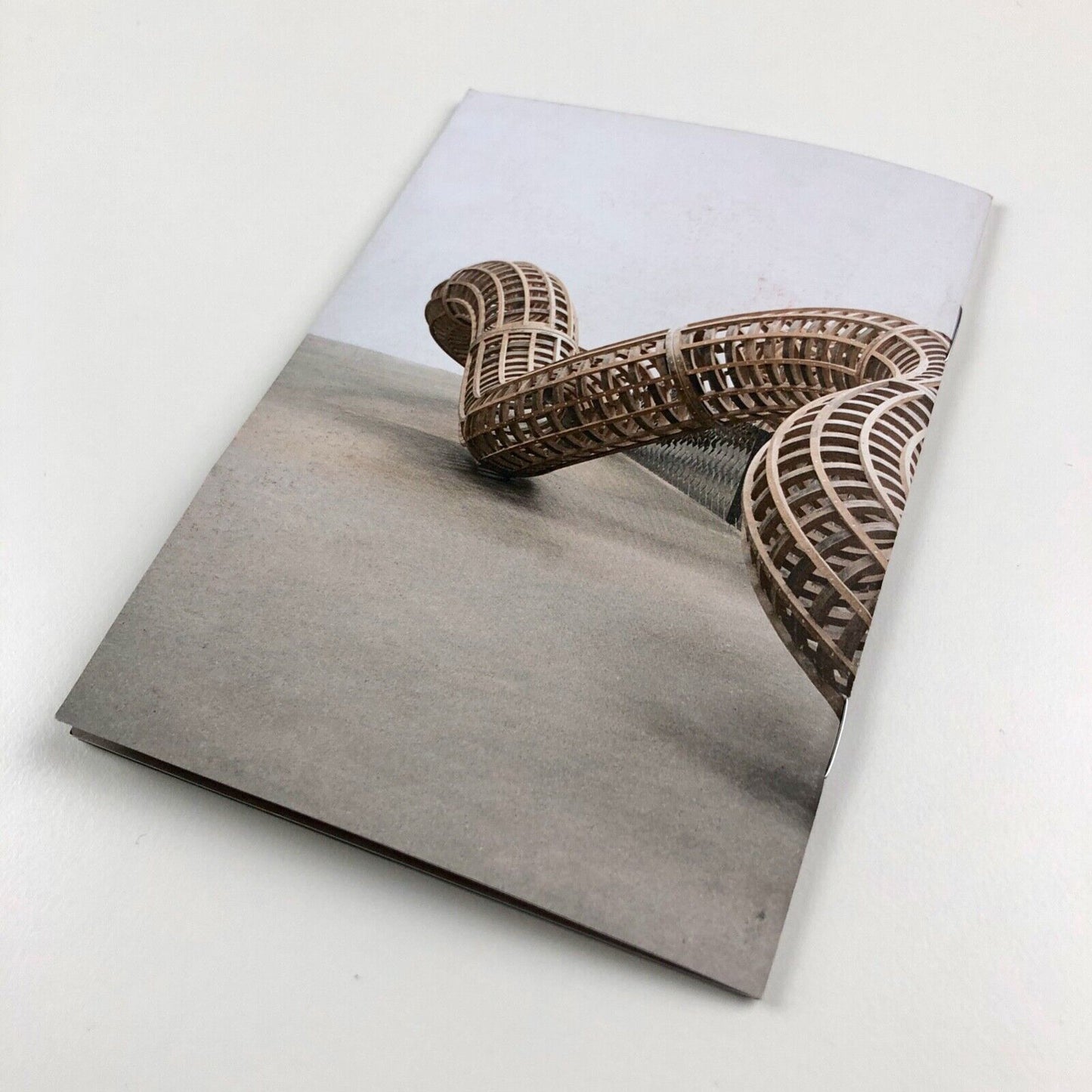 Richard Deacon | Pocket gallery guide – Tate Britain, 2014