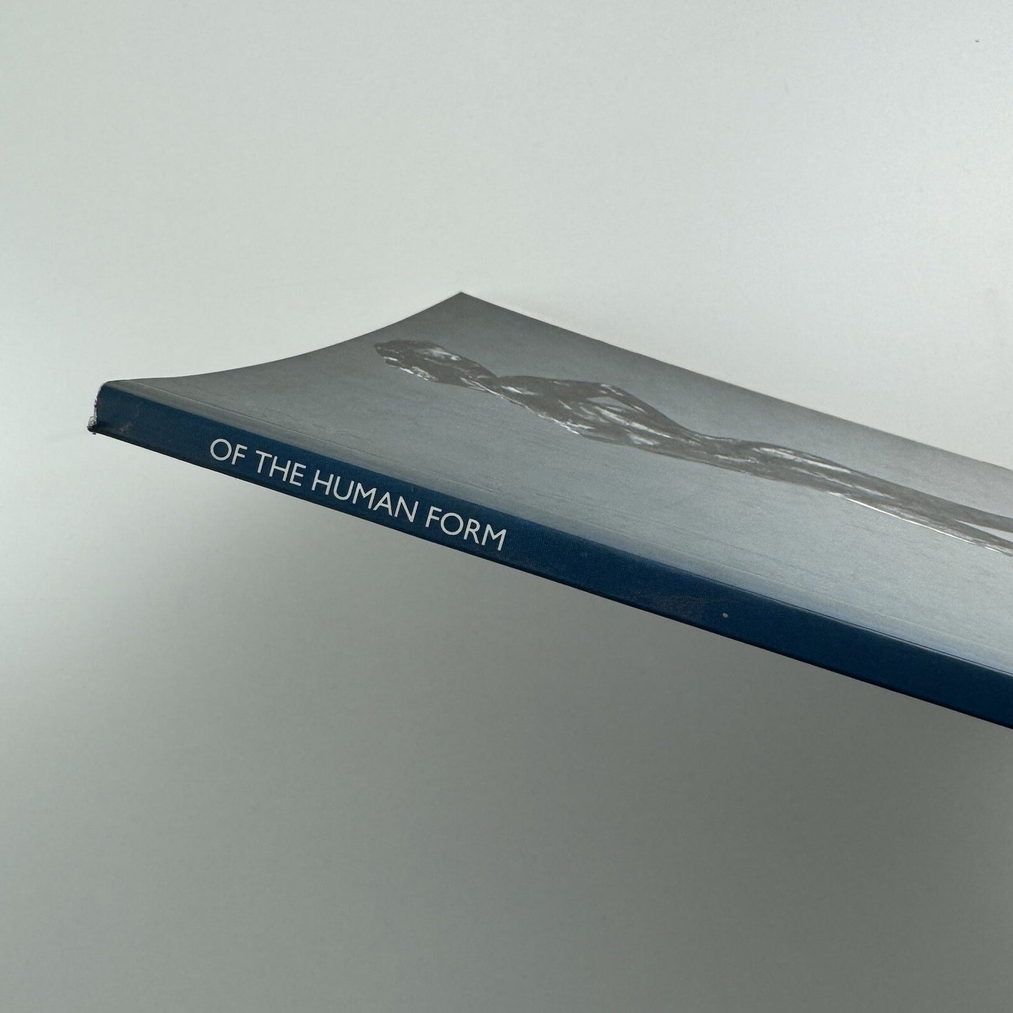Of the Human Form | Waddington Galleries exhibition catalogue, 1995