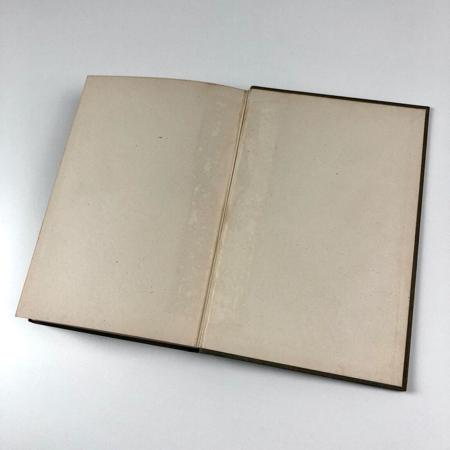 Pen Drawing: An Illustrated Treatise by Charles D. Maginnis | Third edition 1901